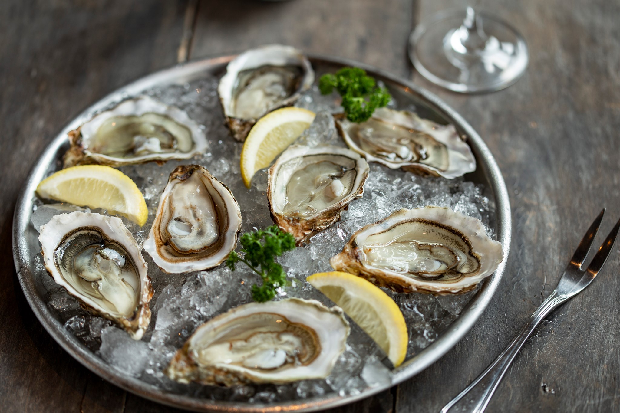 oystermania, The Dock, Lobster &amp; Oyster, เล็ก &amp; รัตน์ซีฟู้ด, Oyster Bay Bangkok