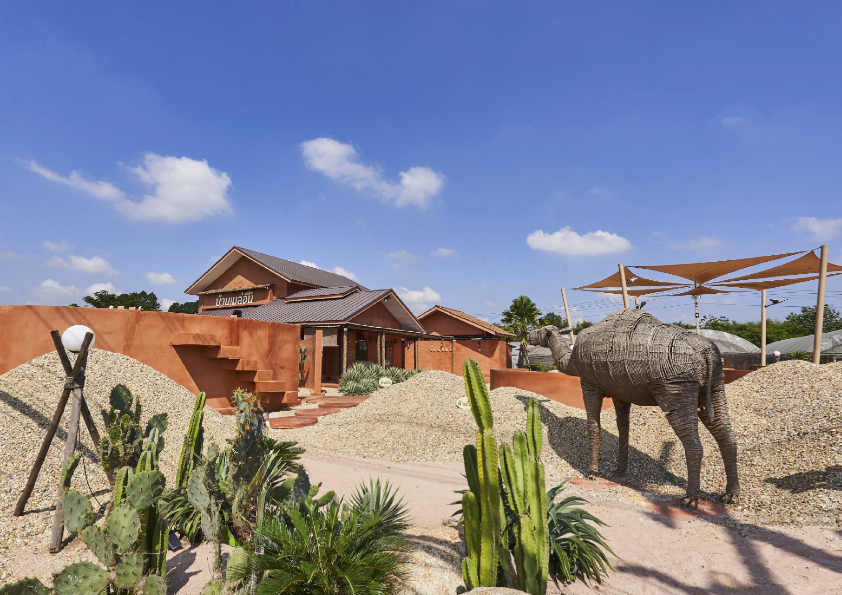 Unplan, ma na cafe', ปลาชุม : Plachum Café &amp; Bistro, Nava House Café - นาวา เฮ้าส์ คาเฟ่, Coffee 123, FarmVille Chachoengsao, บ้านพระจันทร์เวียน, กรีนวิลล์ ผักสลัดเสิร์ฟจากฟาร์ม , D•presso cafe, Baan Melon Desert, Red Cat Cafe ตลาดบ้านใหม่, Lifehouse Cafe &amp; Kitchen, T13 Café