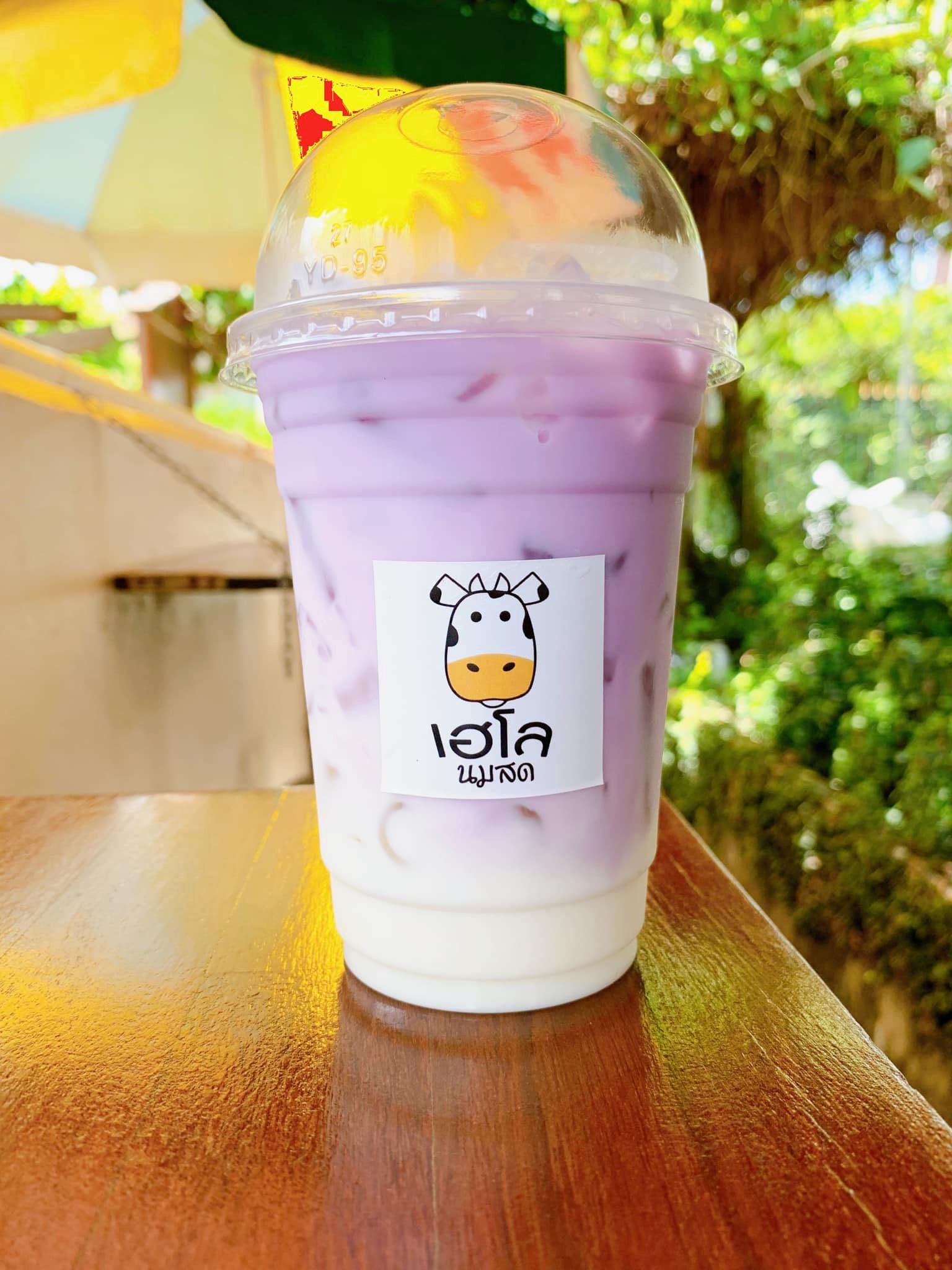 stuff.co, ARCH x CHANN Cafe, เฮโลนมสด, LYNX Coffee