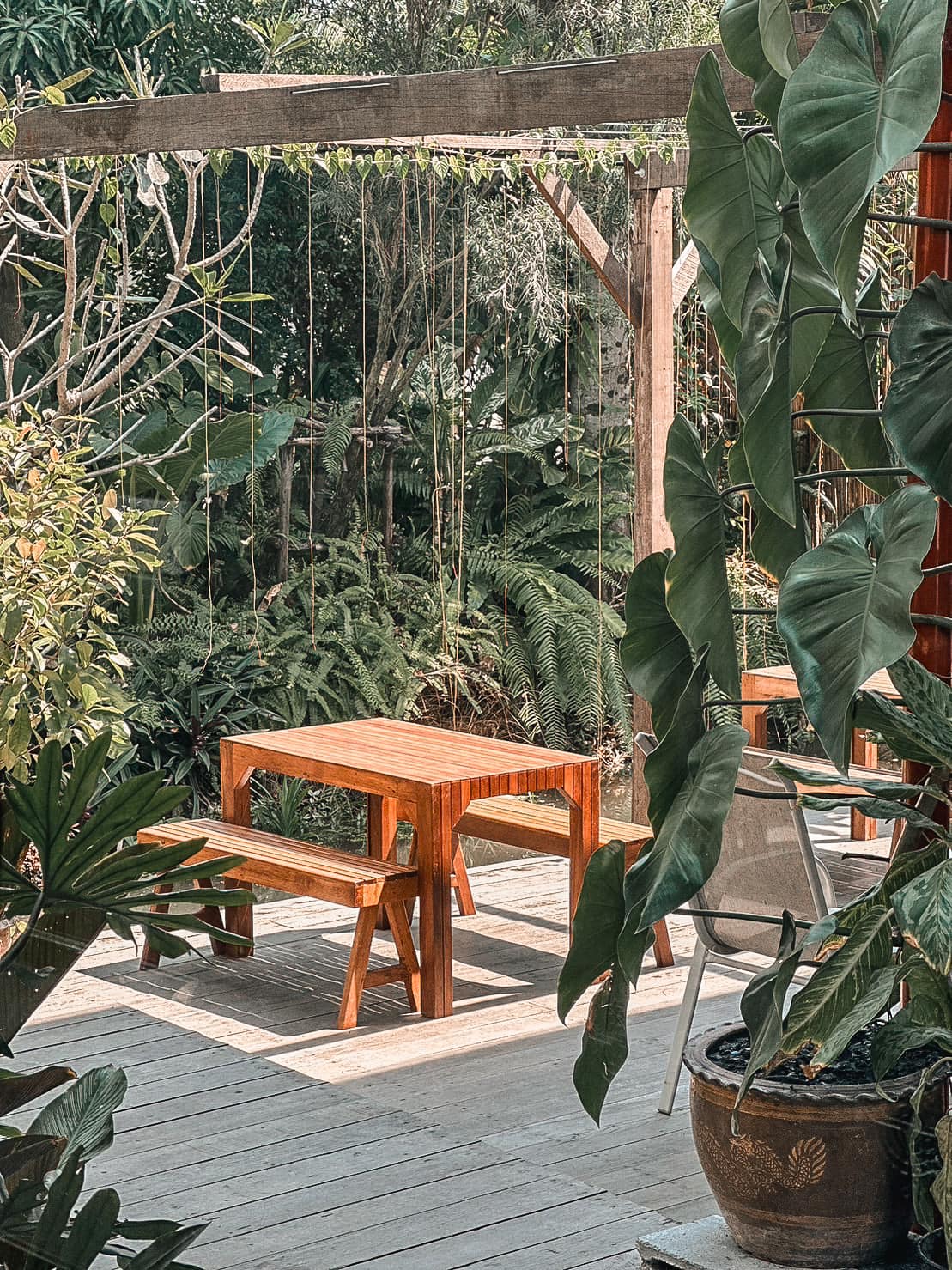 SOP Cafe, Three Mountain Café, ชื่นใจ๋, The Peace Coffee, โคโค่คอฟฟี่, Mali Cafe &amp; Cuisine, Tree Shade, Smallroom cafe passion, อาตี๋โกปี๊, Tara Coffee, In Cafe, Thanks, CORO FIELD, White Cacti