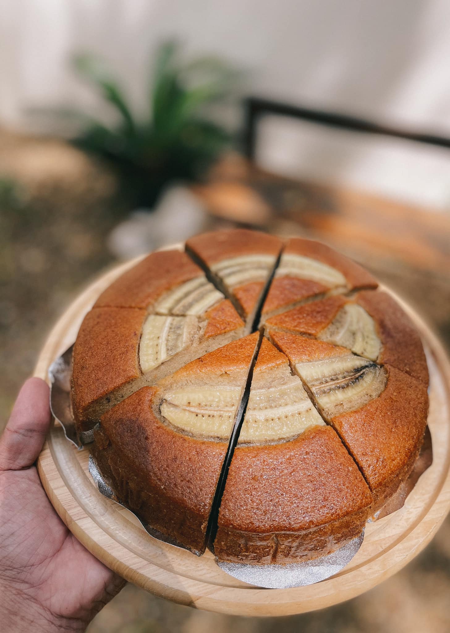 SOP Cafe, Three Mountain Café, ชื่นใจ๋, The Peace Coffee, โคโค่คอฟฟี่, Mali Cafe &amp; Cuisine, Tree Shade, Smallroom cafe passion, อาตี๋โกปี๊, Tara Coffee, In Cafe, Thanks, CORO FIELD, White Cacti