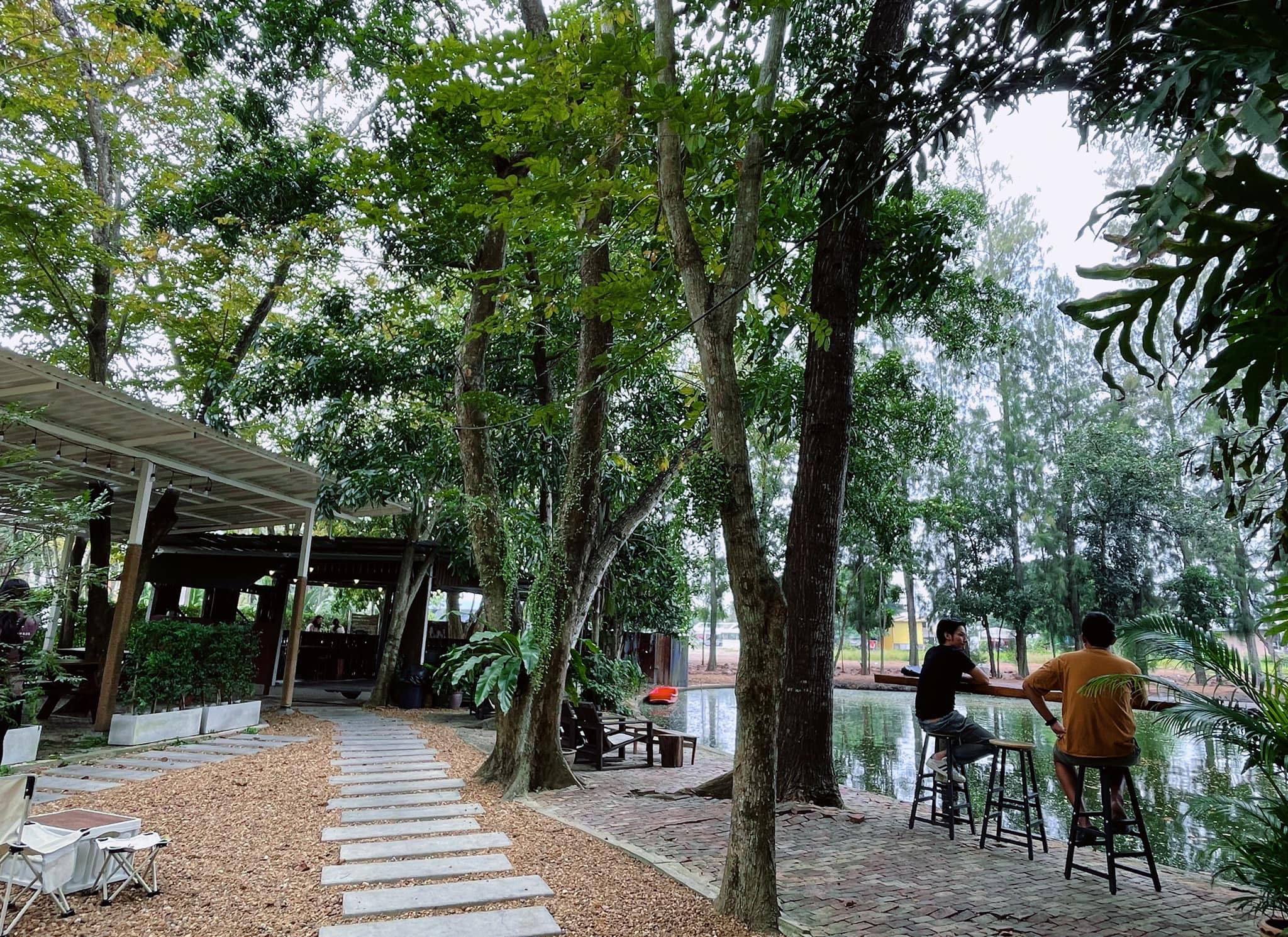 SOP Cafe, Three Mountain Café, ชื่นใจ๋, The Peace Coffee, โคโค่คอฟฟี่, Mali Cafe &amp; Cuisine, Tree Shade, Smallroom cafe passion, อาตี๋โกปี๊, Tara Coffee, In Cafe, Thanks, CORO FIELD, White Cacti