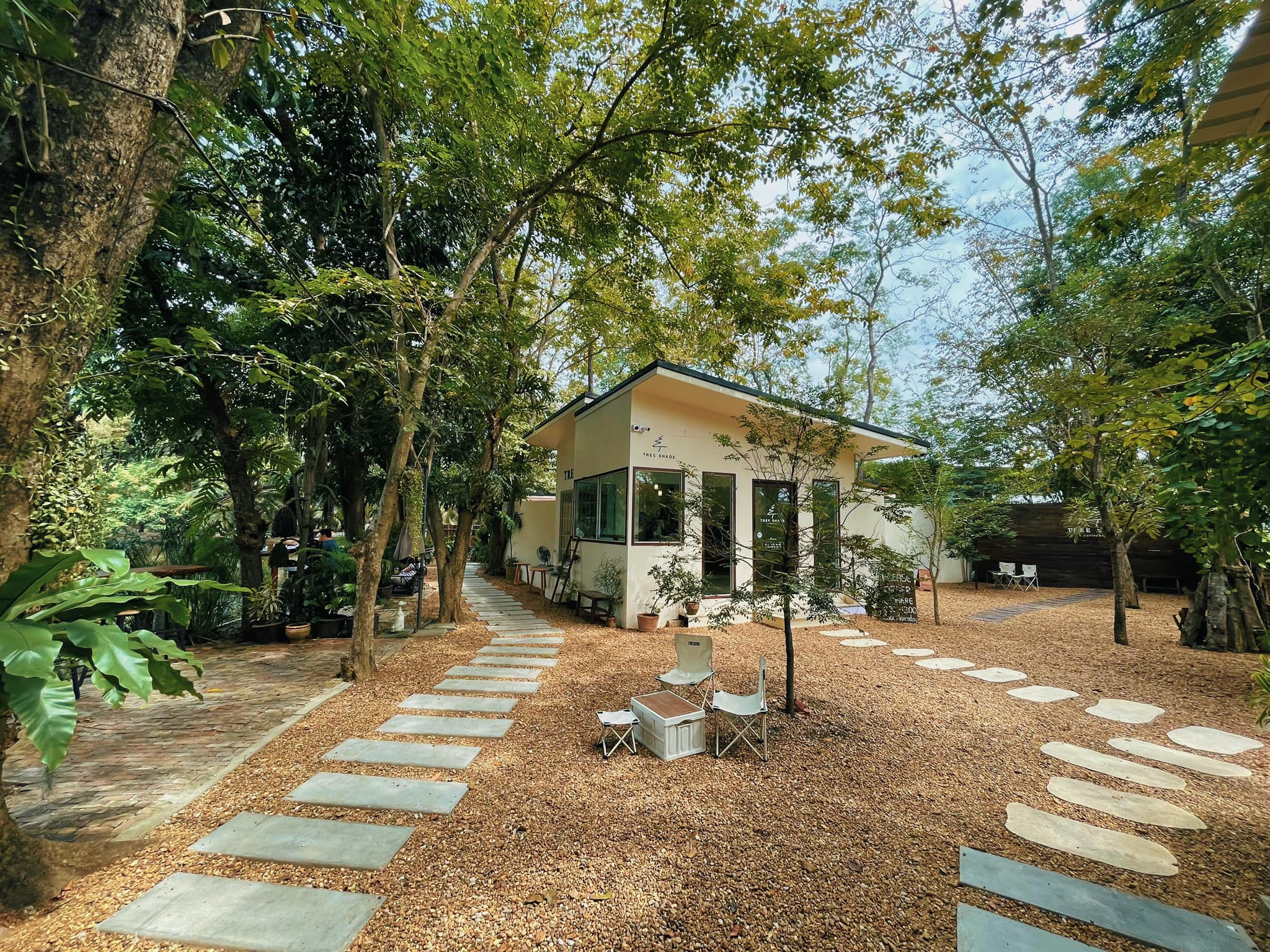 SOP Cafe, Three Mountain Café, ชื่นใจ๋, The Peace Coffee, โคโค่คอฟฟี่, Mali Cafe &amp; Cuisine, Tree Shade, Smallroom cafe passion, อาตี๋โกปี๊, Tara Coffee, In Cafe, Thanks, CORO FIELD, White Cacti