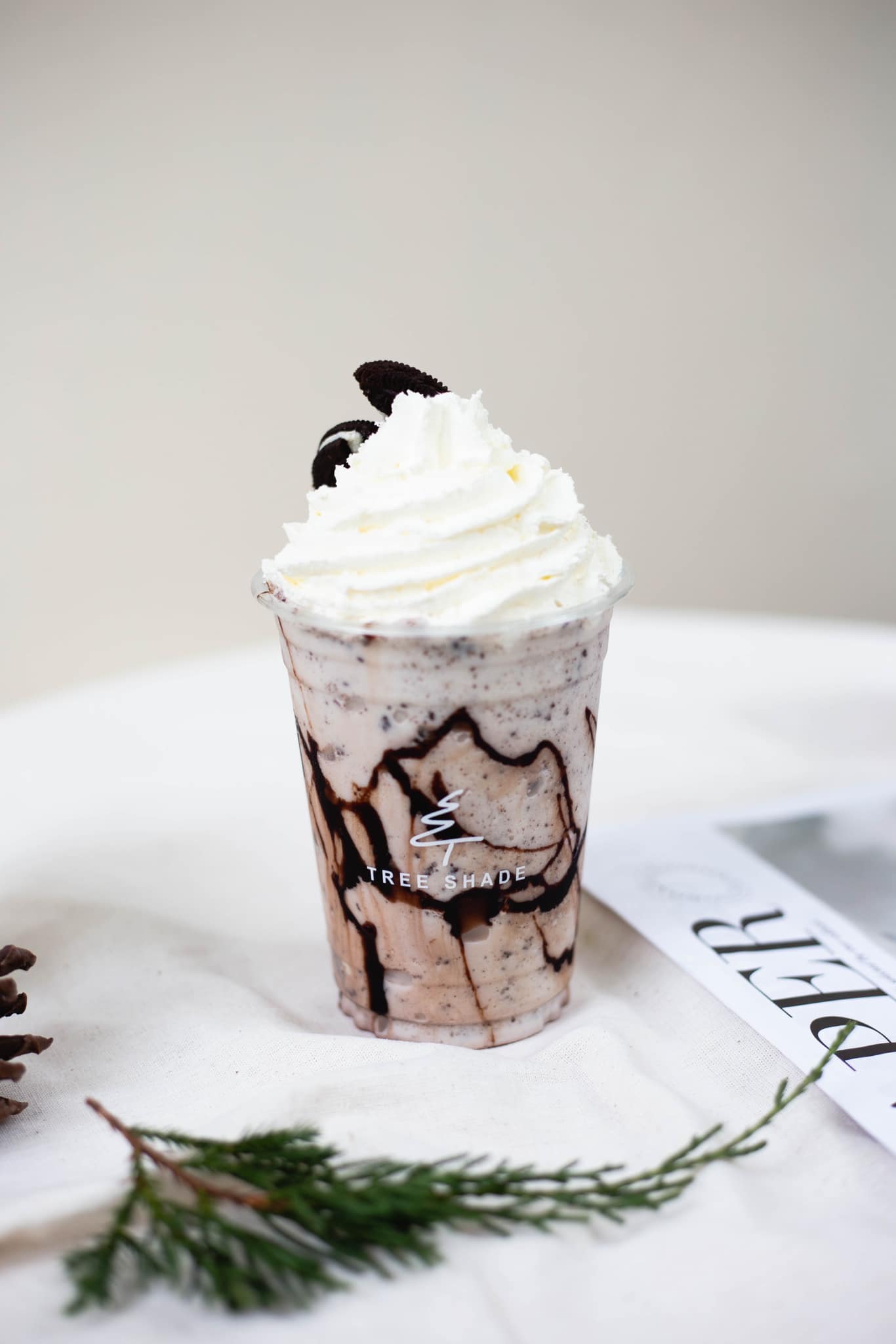 SOP Cafe, Three Mountain Café, ชื่นใจ๋, The Peace Coffee, โคโค่คอฟฟี่, Mali Cafe &amp; Cuisine, Tree Shade, Smallroom cafe passion, อาตี๋โกปี๊, Tara Coffee, In Cafe, Thanks, CORO FIELD, White Cacti