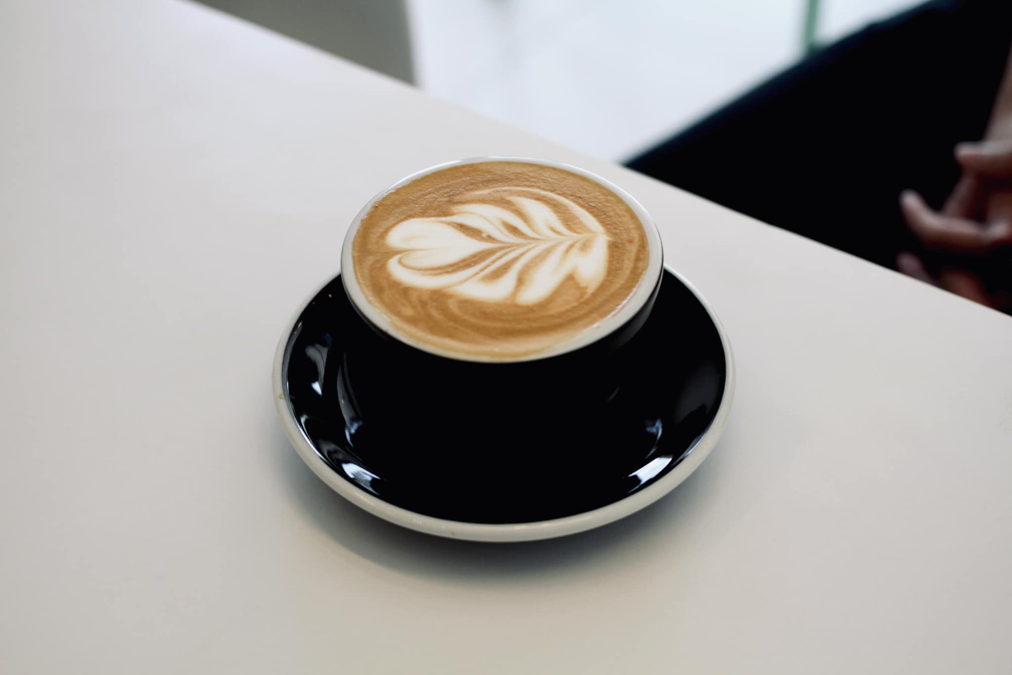 SOP Cafe, Three Mountain Café, ชื่นใจ๋, The Peace Coffee, โคโค่คอฟฟี่, Mali Cafe &amp; Cuisine, Tree Shade, Smallroom cafe passion, อาตี๋โกปี๊, Tara Coffee, In Cafe, Thanks, CORO FIELD, White Cacti