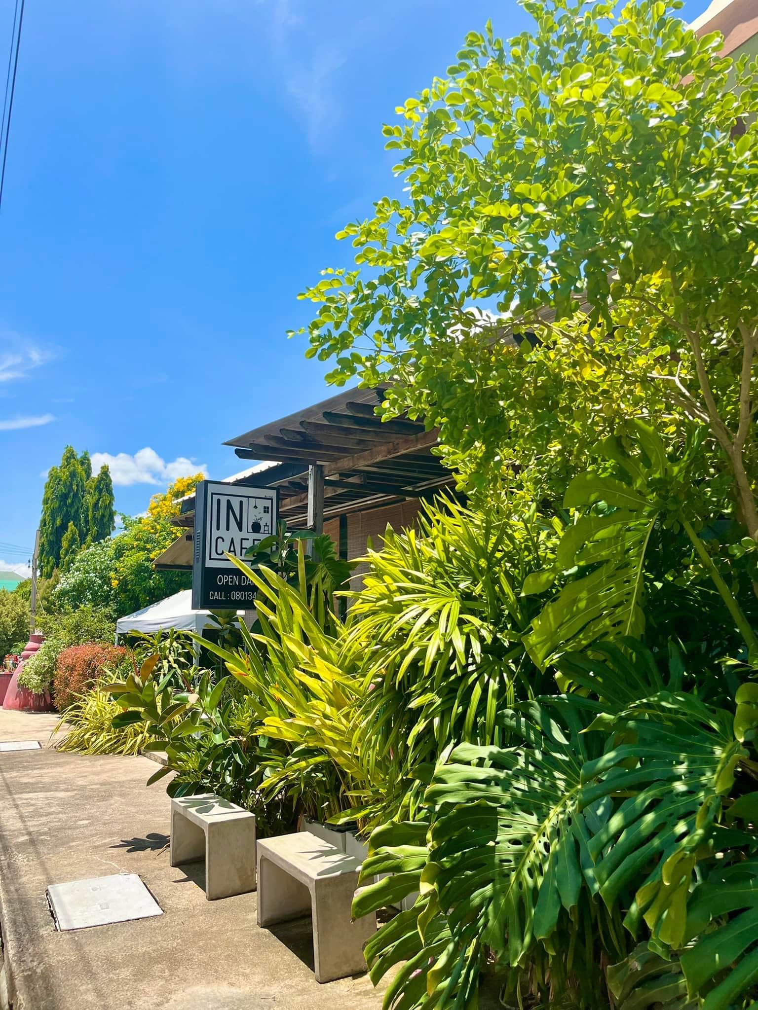 SOP Cafe, Three Mountain Café, ชื่นใจ๋, The Peace Coffee, โคโค่คอฟฟี่, Mali Cafe &amp; Cuisine, Tree Shade, Smallroom cafe passion, อาตี๋โกปี๊, Tara Coffee, In Cafe, Thanks, CORO FIELD, White Cacti