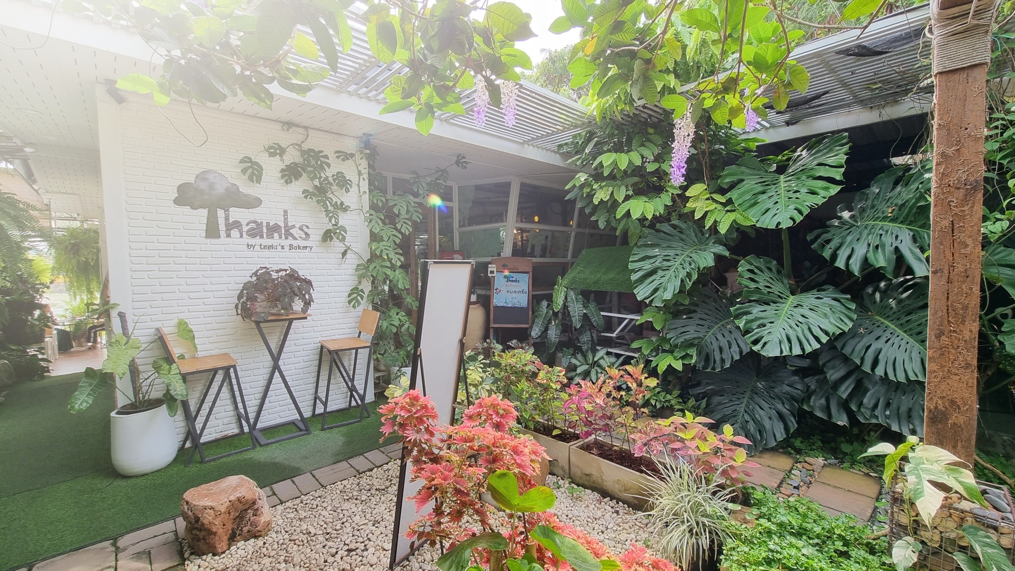 SOP Cafe, Three Mountain Café, ชื่นใจ๋, The Peace Coffee, โคโค่คอฟฟี่, Mali Cafe &amp; Cuisine, Tree Shade, Smallroom cafe passion, อาตี๋โกปี๊, Tara Coffee, In Cafe, Thanks, CORO FIELD, White Cacti