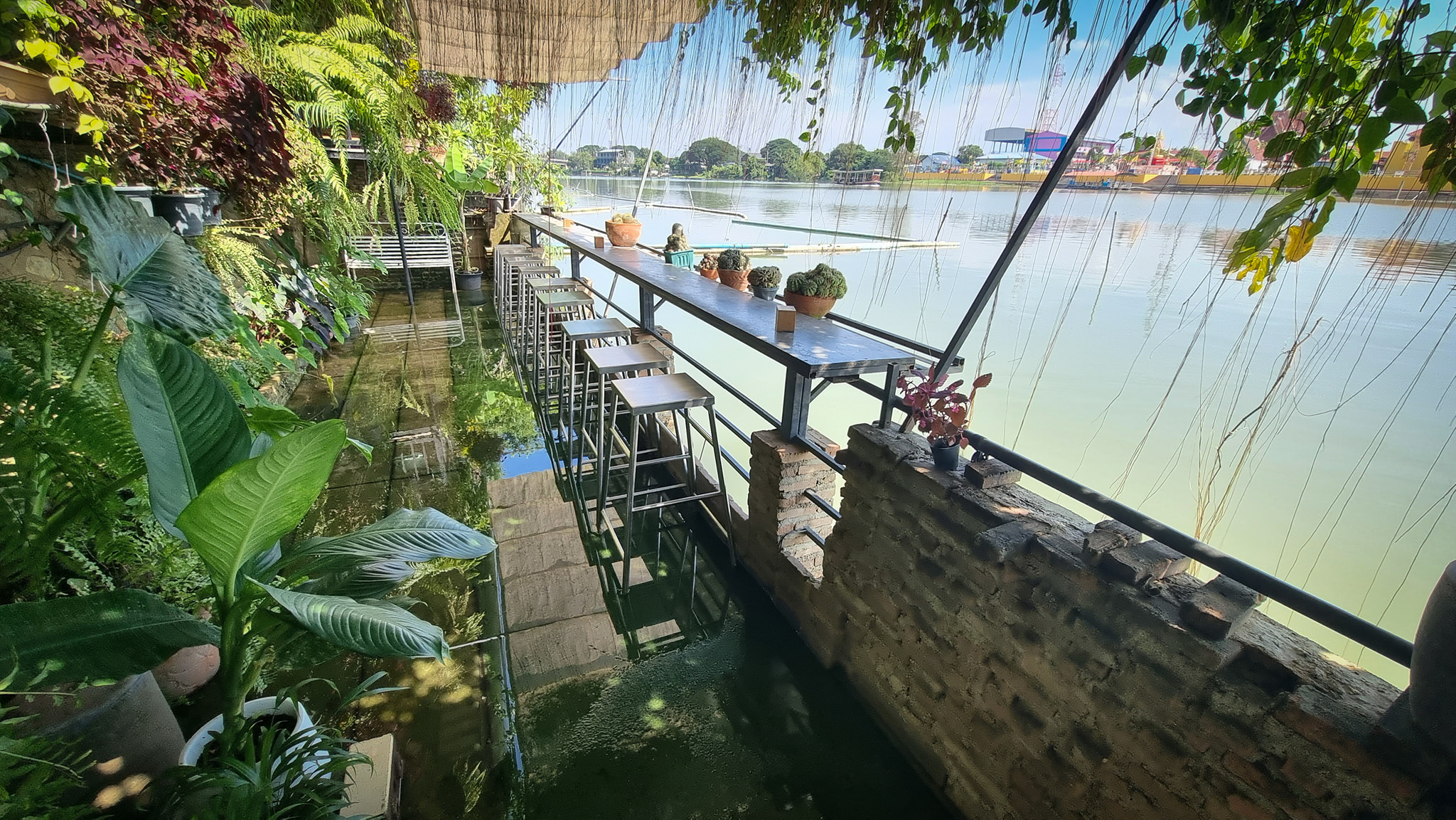 SOP Cafe, Three Mountain Café, ชื่นใจ๋, The Peace Coffee, โคโค่คอฟฟี่, Mali Cafe &amp; Cuisine, Tree Shade, Smallroom cafe passion, อาตี๋โกปี๊, Tara Coffee, In Cafe, Thanks, CORO FIELD, White Cacti