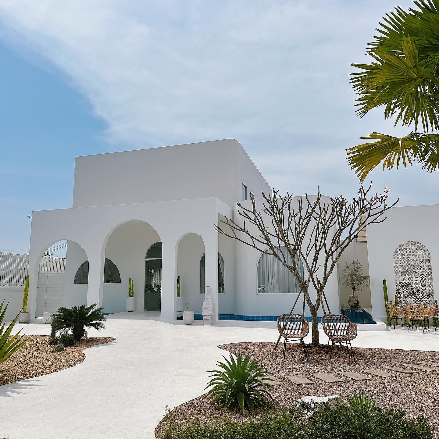 SOP Cafe, Three Mountain Café, ชื่นใจ๋, The Peace Coffee, โคโค่คอฟฟี่, Mali Cafe &amp; Cuisine, Tree Shade, Smallroom cafe passion, อาตี๋โกปี๊, Tara Coffee, In Cafe, Thanks, CORO FIELD, White Cacti