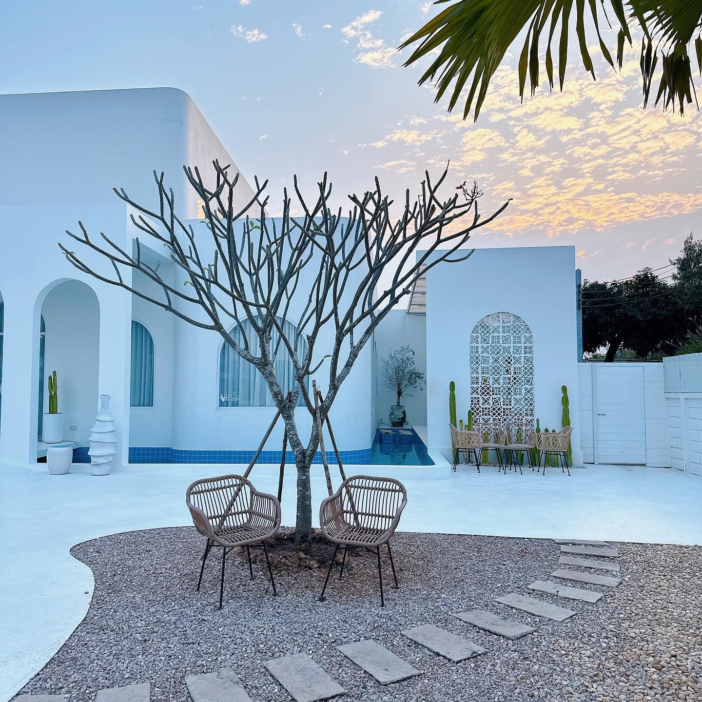 SOP Cafe, Three Mountain Café, ชื่นใจ๋, The Peace Coffee, โคโค่คอฟฟี่, Mali Cafe &amp; Cuisine, Tree Shade, Smallroom cafe passion, อาตี๋โกปี๊, Tara Coffee, In Cafe, Thanks, CORO FIELD, White Cacti