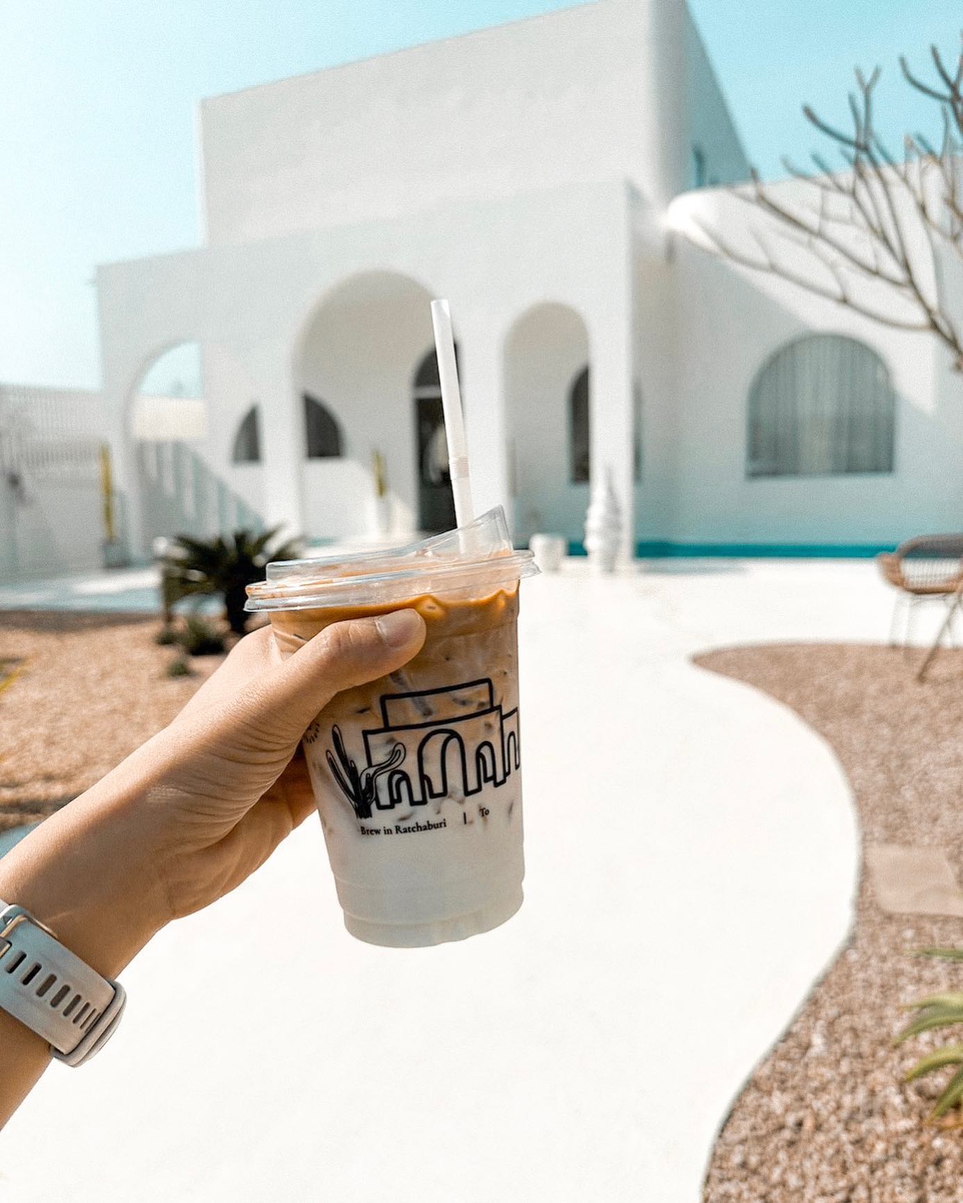 SOP Cafe, Three Mountain Café, ชื่นใจ๋, The Peace Coffee, โคโค่คอฟฟี่, Mali Cafe &amp; Cuisine, Tree Shade, Smallroom cafe passion, อาตี๋โกปี๊, Tara Coffee, In Cafe, Thanks, CORO FIELD, White Cacti