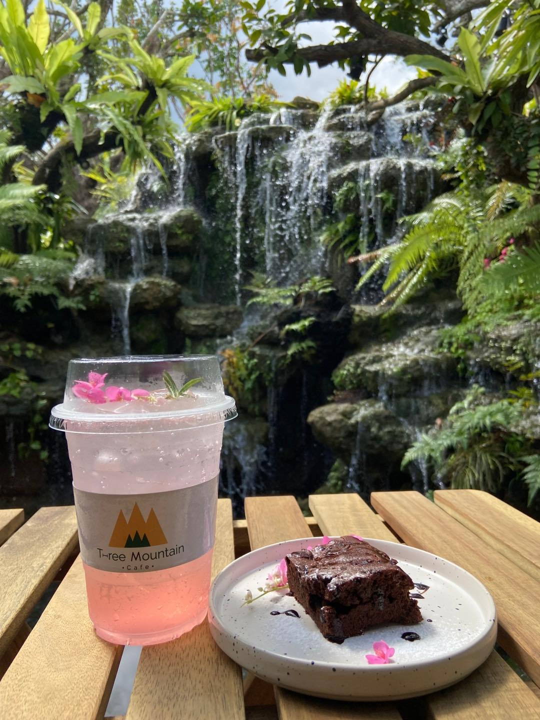 SOP Cafe, Three Mountain Café, ชื่นใจ๋, The Peace Coffee, โคโค่คอฟฟี่, Mali Cafe &amp; Cuisine, Tree Shade, Smallroom cafe passion, อาตี๋โกปี๊, Tara Coffee, In Cafe, Thanks, CORO FIELD, White Cacti