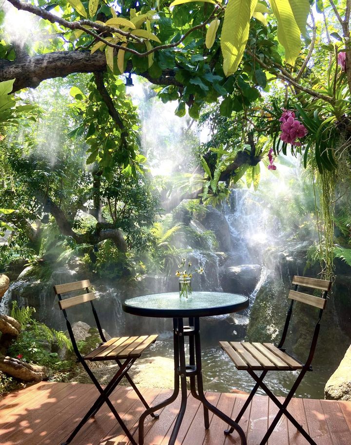 SOP Cafe, Three Mountain Café, ชื่นใจ๋, The Peace Coffee, โคโค่คอฟฟี่, Mali Cafe &amp; Cuisine, Tree Shade, Smallroom cafe passion, อาตี๋โกปี๊, Tara Coffee, In Cafe, Thanks, CORO FIELD, White Cacti