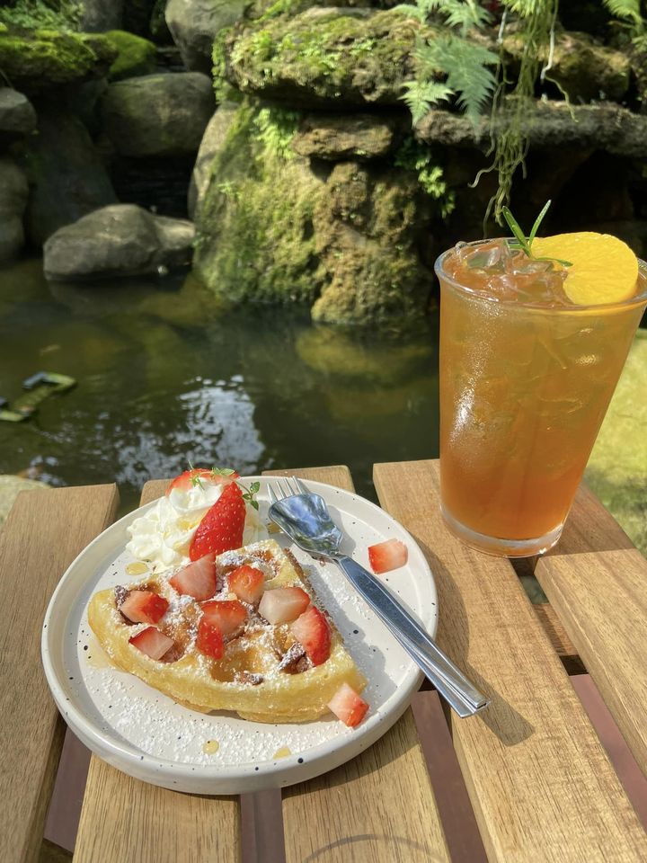 SOP Cafe, Three Mountain Café, ชื่นใจ๋, The Peace Coffee, โคโค่คอฟฟี่, Mali Cafe &amp; Cuisine, Tree Shade, Smallroom cafe passion, อาตี๋โกปี๊, Tara Coffee, In Cafe, Thanks, CORO FIELD, White Cacti