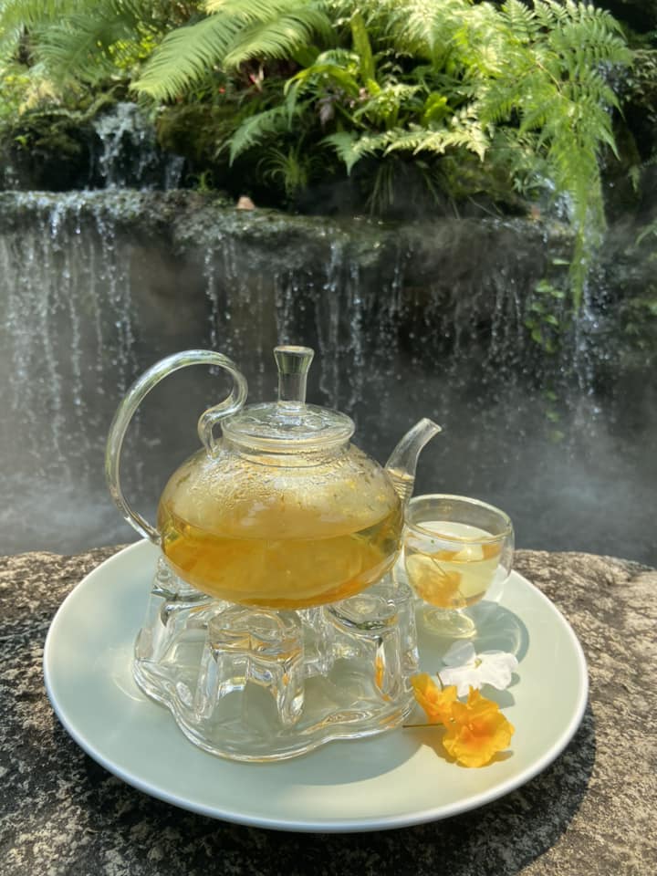 SOP Cafe, Three Mountain Café, ชื่นใจ๋, The Peace Coffee, โคโค่คอฟฟี่, Mali Cafe &amp; Cuisine, Tree Shade, Smallroom cafe passion, อาตี๋โกปี๊, Tara Coffee, In Cafe, Thanks, CORO FIELD, White Cacti