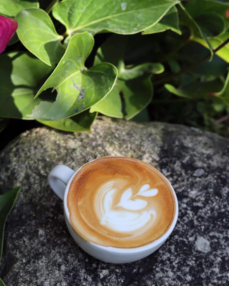 SOP Cafe, Three Mountain Café, ชื่นใจ๋, The Peace Coffee, โคโค่คอฟฟี่, Mali Cafe &amp; Cuisine, Tree Shade, Smallroom cafe passion, อาตี๋โกปี๊, Tara Coffee, In Cafe, Thanks, CORO FIELD, White Cacti