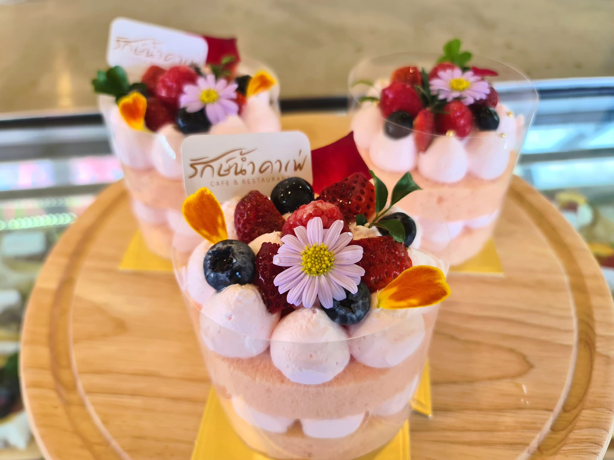 The Sine Cafe’, Whispering cafe, รักษ์น้ำคาเฟ่, Orenchi Cafe, KAWA Coffee and Co., Orenchi Specialty Coffee, Attitude Coffee, Memory House Cafe, In Garden Hut Cafe, ChataThammachart, She's The Legend Cafe, RIVA floating cafe, Good Mood House, นึก คาเฟ่ - วัดไร่ขิง, Ton Khao Terrace, CHADA Tea Boutique, Kark Crof.f