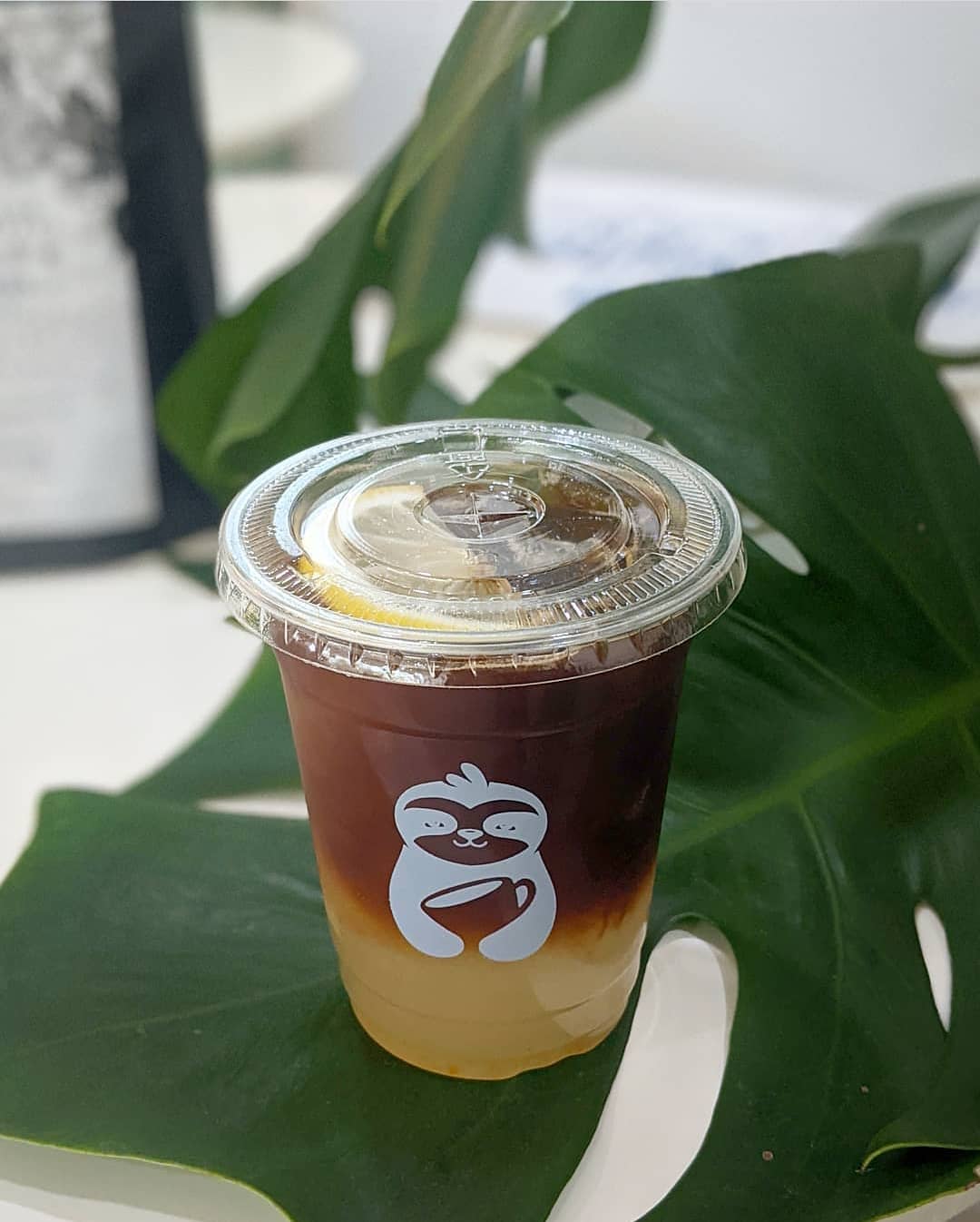 The Sine Cafe’, Whispering cafe, รักษ์น้ำคาเฟ่, Orenchi Cafe, KAWA Coffee and Co., Orenchi Specialty Coffee, Attitude Coffee, Memory House Cafe, In Garden Hut Cafe, ChataThammachart, She's The Legend Cafe, RIVA floating cafe, Good Mood House, นึก คาเฟ่ - วัดไร่ขิง, Ton Khao Terrace, CHADA Tea Boutique, Kark Crof.f