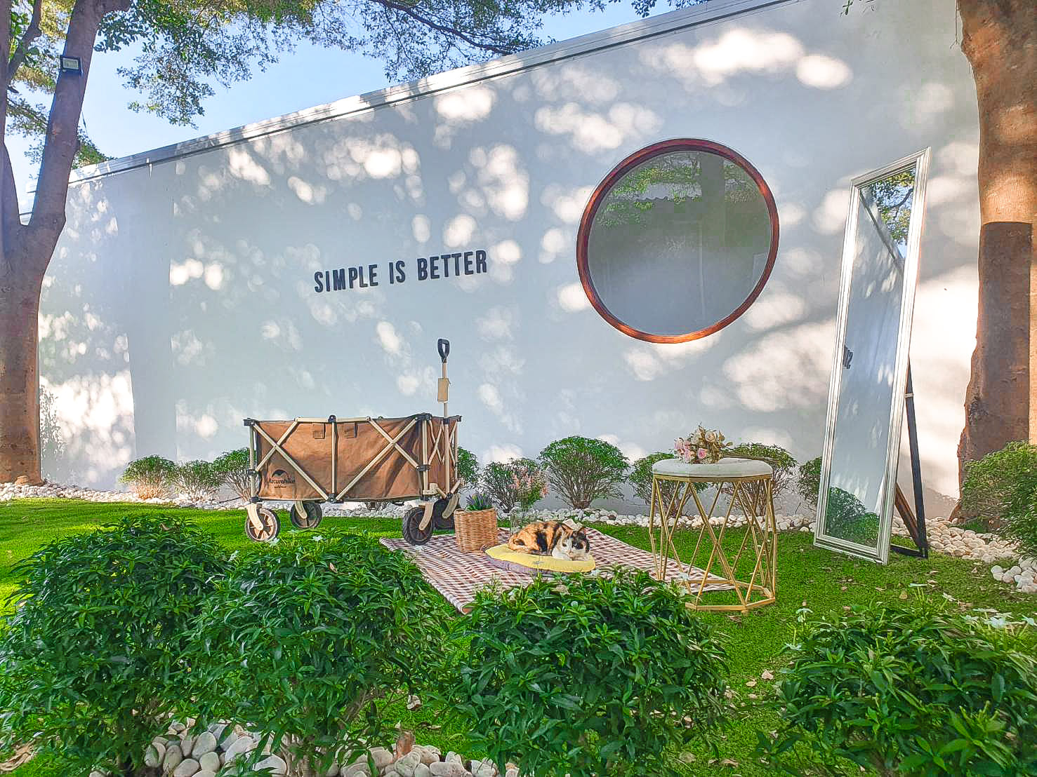 White House Forest, เกษม : KASEM Coffee, Rosie.nak, Luk Labb Coffee, Grande KAFE, KFD in Town, สวรรค์บ้านนา คาเฟ่ Food &amp; Drink, กอหญ้า คาเฟ่, ณ บุ่ง Coffee, polar polar CAFE', Yellow Pumpkin, ร้าน Yellow Pumpkin เปิดบริการตามปกติ 11.00-17.00 น. (ปิดวันพฤหัสบดี), I'm home cafe, ประจำอำเภอ, glinfon, 382 Space Café, La-Moon cafe'