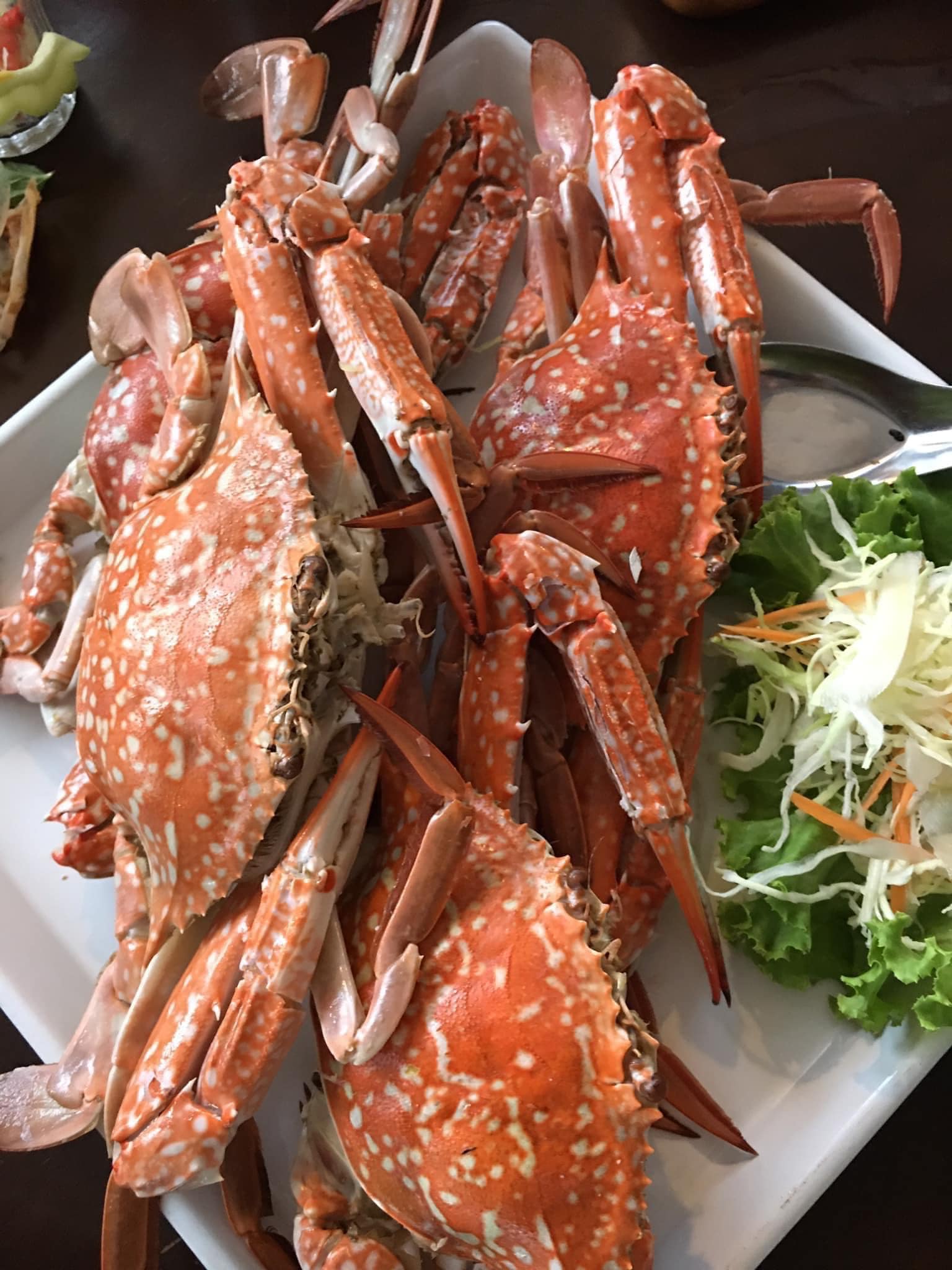 Pop View, ครัวบ้านกลางทะเล, Ripple Sea, ร้านลับหมึกช๊อต อ่าวอุดมซอย17, ร้านป๋าดำซีฟู้ด, ป้าแอ๊ดซีฟู๊ด, ติดดินซีฟู้ด, มุมอร่อย ศรีราชา, TOH CREW, เรือนน้ำซีฟู๊ด ศรีราชา, ครัวทะเล จันผา, ร้านอาหาร เฒ่าทะเล ซีฟู๊ด อ่าวอุดม, ร้านป้อมกินแล้วรวย