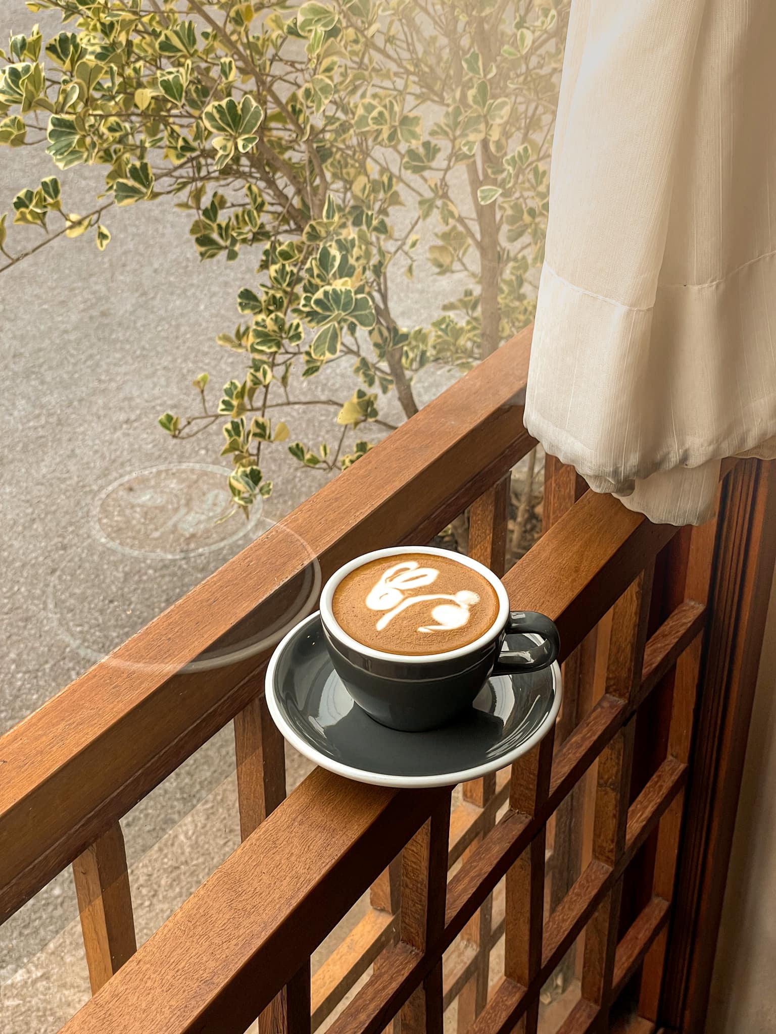 Treespresso cafe, Vigie Sist Café, Aki Choux Cream, Polaris Sunrise Café, MOJI Pool.Villa.icecream, MYTH OVEN, KonJohn coffee slowbar, Eleven Pillar Site, Home’S, Koffandthings.th, Playworks.cafeart, Tree of Life Cafe, Kramfeine, Millilit Cafe, TOMATO.cafe.cnx, MITTE MITTE, Soul Café mju, ZOHNG Coffee, ALSO cafe, Coffee Ngeggee, Graincafe.cnx, Later on cafe, สุขพอดี, FERN FOREST CAFÉ, Forest Bake, ภูฟิน, CHEEVIT CHEEVA, GoodVibes Cafe-Cnx, Chic 39, Zombie Café, Ristr8to, Neo Cafe', ชมนกชมไม้, เก้าคาเฟ่ นิมมาน