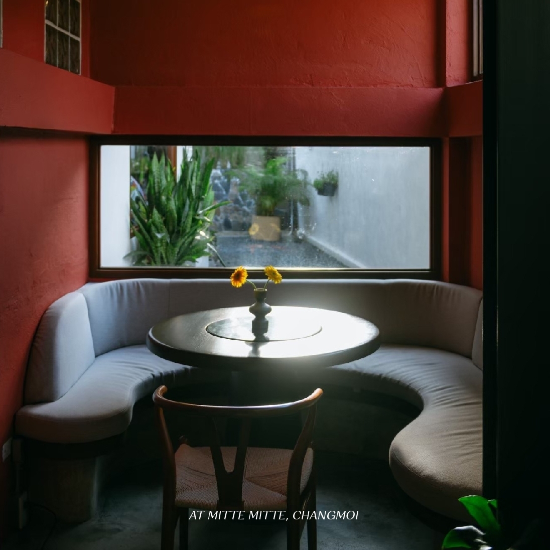 Treespresso cafe, Vigie Sist Café, Aki Choux Cream, Polaris Sunrise Café, MOJI Pool.Villa.icecream, MYTH OVEN, KonJohn coffee slowbar, Eleven Pillar Site, Home’S, Koffandthings.th, Playworks.cafeart, Tree of Life Cafe, Kramfeine, Millilit Cafe, TOMATO.cafe.cnx, MITTE MITTE, Soul Café mju, ZOHNG Coffee, ALSO cafe, Coffee Ngeggee, Graincafe.cnx, Later on cafe, สุขพอดี, FERN FOREST CAFÉ, Forest Bake, ภูฟิน, CHEEVIT CHEEVA, GoodVibes Cafe-Cnx, Chic 39, Zombie Café, Ristr8to, Neo Cafe', ชมนกชมไม้, เก้าคาเฟ่ นิมมาน