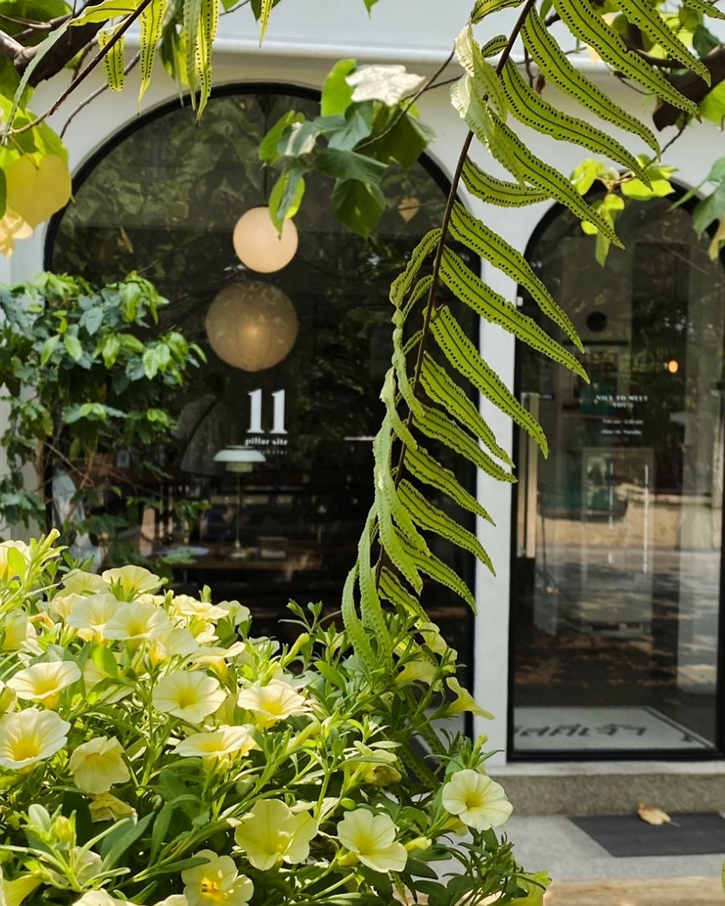 Treespresso cafe, Vigie Sist Café, Aki Choux Cream, Polaris Sunrise Café, MOJI Pool.Villa.icecream, MYTH OVEN, KonJohn coffee slowbar, Eleven Pillar Site, Home’S, Koffandthings.th, Playworks.cafeart, Tree of Life Cafe, Kramfeine, Millilit Cafe, TOMATO.cafe.cnx, MITTE MITTE, Soul Café mju, ZOHNG Coffee, ALSO cafe, Coffee Ngeggee, Graincafe.cnx, Later on cafe, สุขพอดี, FERN FOREST CAFÉ, Forest Bake, ภูฟิน, CHEEVIT CHEEVA, GoodVibes Cafe-Cnx, Chic 39, Zombie Café, Ristr8to, Neo Cafe', ชมนกชมไม้, เก้าคาเฟ่ นิมมาน