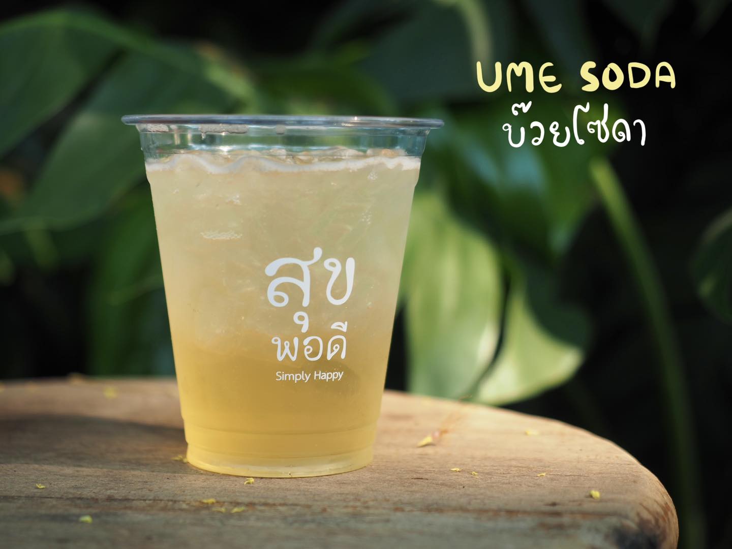 Treespresso cafe, Vigie Sist Café, Aki Choux Cream, Polaris Sunrise Café, MOJI Pool.Villa.icecream, MYTH OVEN, KonJohn coffee slowbar, Eleven Pillar Site, Home’S, Koffandthings.th, Playworks.cafeart, Tree of Life Cafe, Kramfeine, Millilit Cafe, TOMATO.cafe.cnx, MITTE MITTE, Soul Café mju, ZOHNG Coffee, ALSO cafe, Coffee Ngeggee, Graincafe.cnx, Later on cafe, สุขพอดี, FERN FOREST CAFÉ, Forest Bake, ภูฟิน, CHEEVIT CHEEVA, GoodVibes Cafe-Cnx, Chic 39, Zombie Café, Ristr8to, Neo Cafe', ชมนกชมไม้, เก้าคาเฟ่ นิมมาน