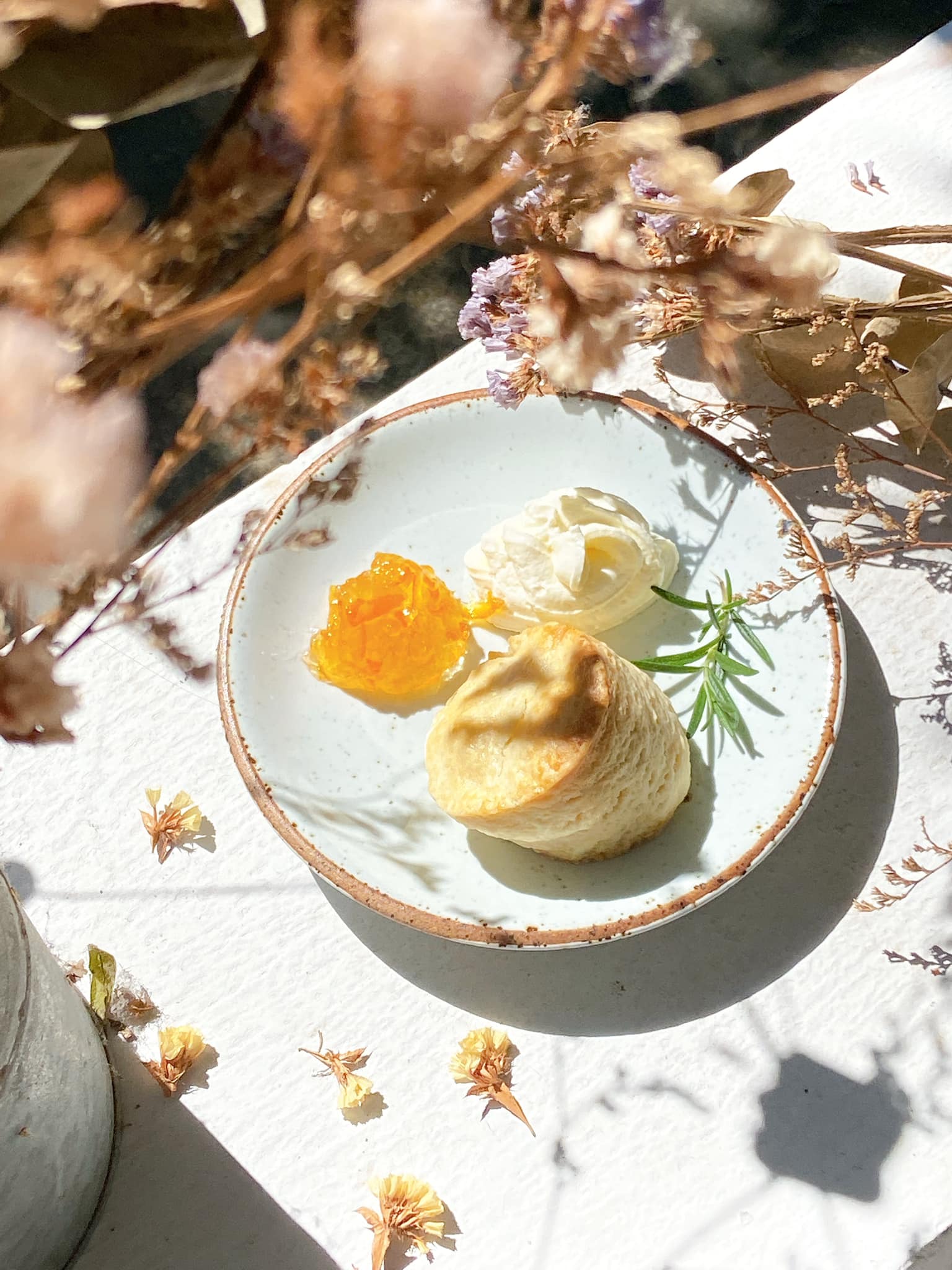 Treespresso cafe, Vigie Sist Café, Aki Choux Cream, Polaris Sunrise Café, MOJI Pool.Villa.icecream, MYTH OVEN, KonJohn coffee slowbar, Eleven Pillar Site, Home’S, Koffandthings.th, Playworks.cafeart, Tree of Life Cafe, Kramfeine, Millilit Cafe, TOMATO.cafe.cnx, MITTE MITTE, Soul Café mju, ZOHNG Coffee, ALSO cafe, Coffee Ngeggee, Graincafe.cnx, Later on cafe, สุขพอดี, FERN FOREST CAFÉ, Forest Bake, ภูฟิน, CHEEVIT CHEEVA, GoodVibes Cafe-Cnx, Chic 39, Zombie Café, Ristr8to, Neo Cafe', ชมนกชมไม้, เก้าคาเฟ่ นิมมาน