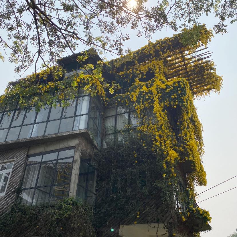 Treespresso cafe, Vigie Sist Café, Aki Choux Cream, Polaris Sunrise Café, MOJI Pool.Villa.icecream, MYTH OVEN, KonJohn coffee slowbar, Eleven Pillar Site, Home’S, Koffandthings.th, Playworks.cafeart, Tree of Life Cafe, Kramfeine, Millilit Cafe, TOMATO.cafe.cnx, MITTE MITTE, Soul Café mju, ZOHNG Coffee, ALSO cafe, Coffee Ngeggee, Graincafe.cnx, Later on cafe, สุขพอดี, FERN FOREST CAFÉ, Forest Bake, ภูฟิน, CHEEVIT CHEEVA, GoodVibes Cafe-Cnx, Chic 39, Zombie Café, Ristr8to, Neo Cafe', ชมนกชมไม้, เก้าคาเฟ่ นิมมาน