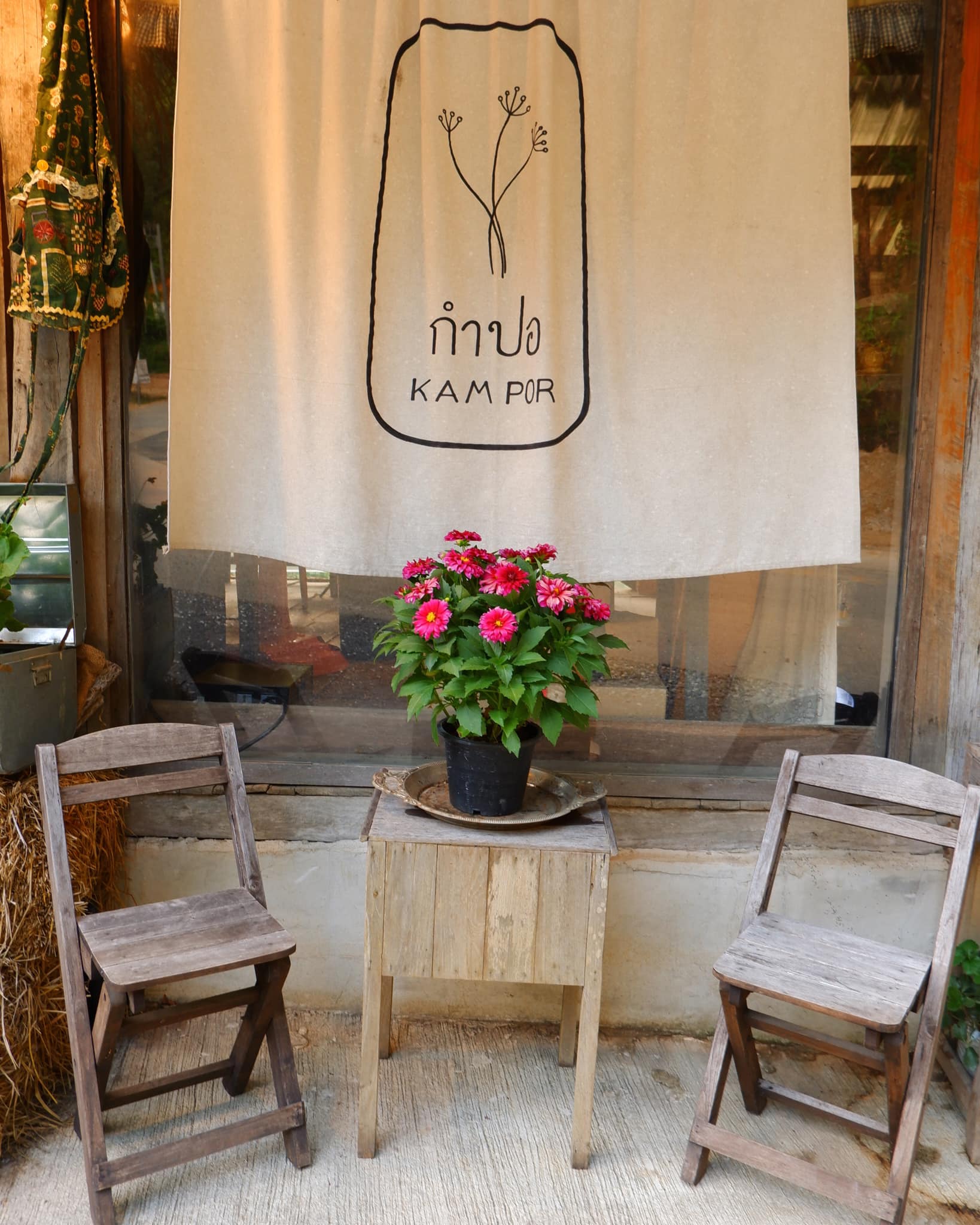 Treespresso cafe, Vigie Sist Café, Aki Choux Cream, Polaris Sunrise Café, MOJI Pool.Villa.icecream, MYTH OVEN, KonJohn coffee slowbar, Eleven Pillar Site, Home’S, Koffandthings.th, Playworks.cafeart, Tree of Life Cafe, Kramfeine, Millilit Cafe, TOMATO.cafe.cnx, MITTE MITTE, Soul Café mju, ZOHNG Coffee, ALSO cafe, Coffee Ngeggee, Graincafe.cnx, Later on cafe, สุขพอดี, FERN FOREST CAFÉ, Forest Bake, ภูฟิน, CHEEVIT CHEEVA, GoodVibes Cafe-Cnx, Chic 39, Zombie Café, Ristr8to, Neo Cafe', ชมนกชมไม้, เก้าคาเฟ่ นิมมาน