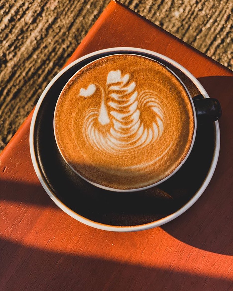 Treespresso cafe, Vigie Sist Café, Aki Choux Cream, Polaris Sunrise Café, MOJI Pool.Villa.icecream, MYTH OVEN, KonJohn coffee slowbar, Eleven Pillar Site, Home’S, Koffandthings.th, Playworks.cafeart, Tree of Life Cafe, Kramfeine, Millilit Cafe, TOMATO.cafe.cnx, MITTE MITTE, Soul Café mju, ZOHNG Coffee, ALSO cafe, Coffee Ngeggee, Graincafe.cnx, Later on cafe, สุขพอดี, FERN FOREST CAFÉ, Forest Bake, ภูฟิน, CHEEVIT CHEEVA, GoodVibes Cafe-Cnx, Chic 39, Zombie Café, Ristr8to, Neo Cafe', ชมนกชมไม้, เก้าคาเฟ่ นิมมาน