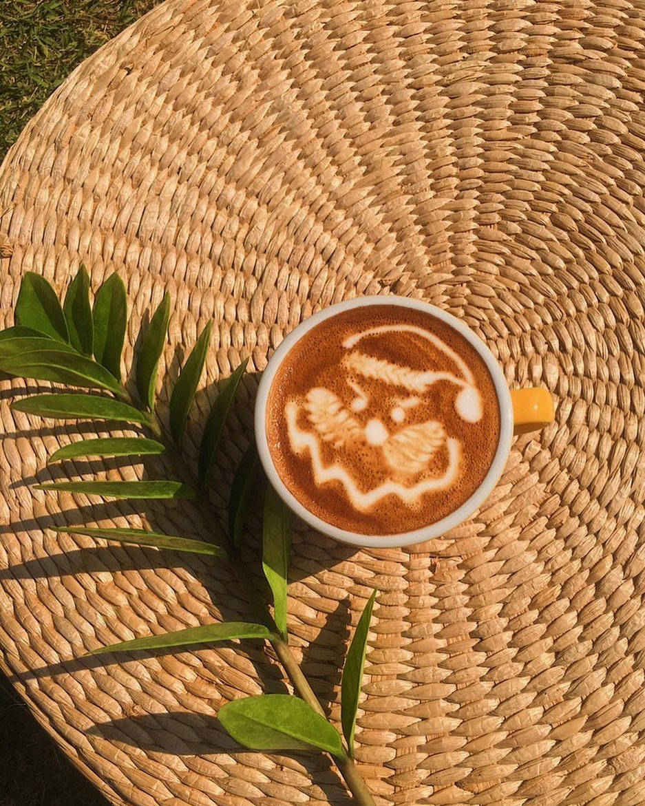 Treespresso cafe, Vigie Sist Café, Aki Choux Cream, Polaris Sunrise Café, MOJI Pool.Villa.icecream, MYTH OVEN, KonJohn coffee slowbar, Eleven Pillar Site, Home’S, Koffandthings.th, Playworks.cafeart, Tree of Life Cafe, Kramfeine, Millilit Cafe, TOMATO.cafe.cnx, MITTE MITTE, Soul Café mju, ZOHNG Coffee, ALSO cafe, Coffee Ngeggee, Graincafe.cnx, Later on cafe, สุขพอดี, FERN FOREST CAFÉ, Forest Bake, ภูฟิน, CHEEVIT CHEEVA, GoodVibes Cafe-Cnx, Chic 39, Zombie Café, Ristr8to, Neo Cafe', ชมนกชมไม้, เก้าคาเฟ่ นิมมาน