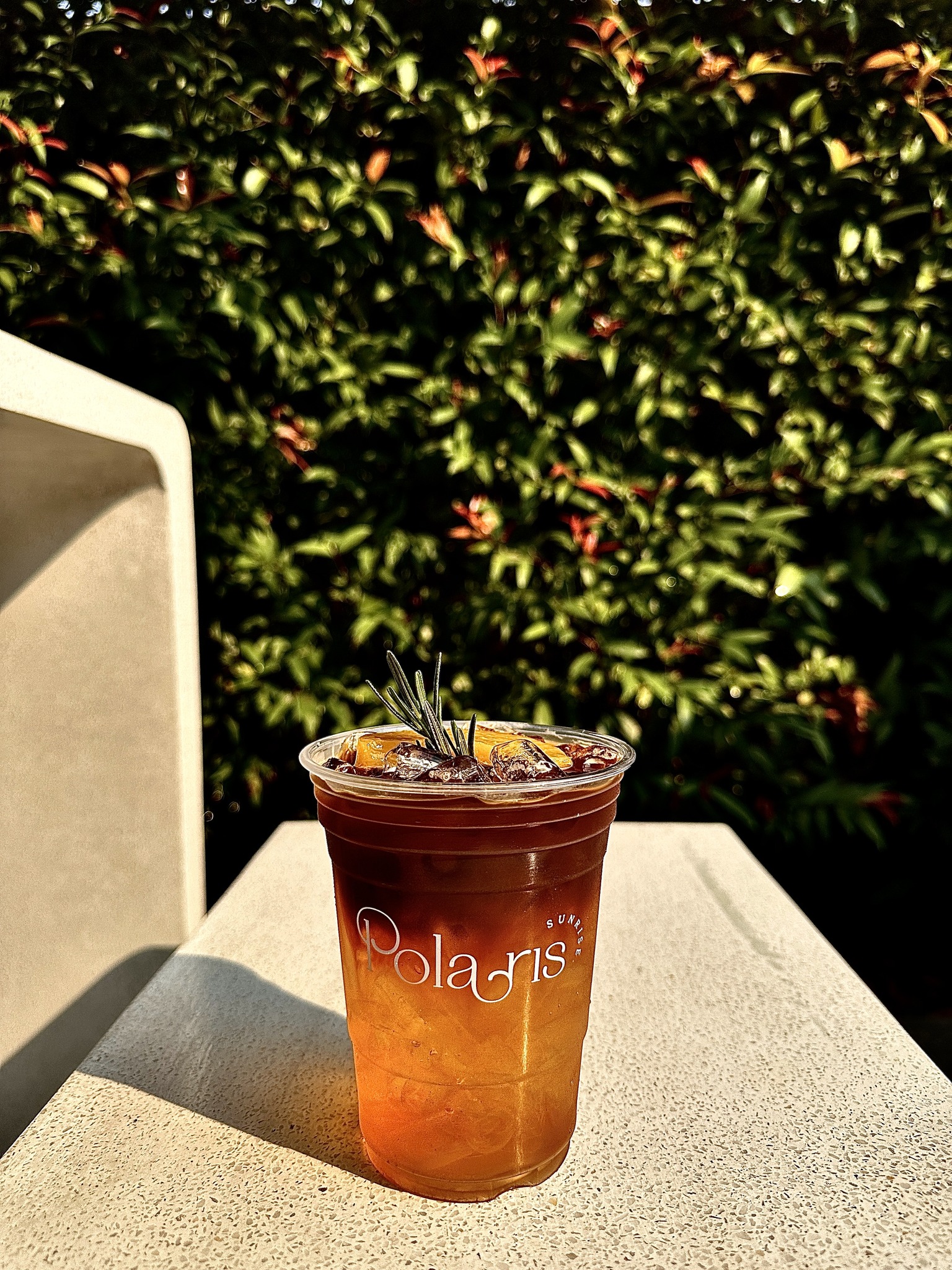 Treespresso cafe, Vigie Sist Café, Aki Choux Cream, Polaris Sunrise Café, MOJI Pool.Villa.icecream, MYTH OVEN, KonJohn coffee slowbar, Eleven Pillar Site, Home’S, Koffandthings.th, Playworks.cafeart, Tree of Life Cafe, Kramfeine, Millilit Cafe, TOMATO.cafe.cnx, MITTE MITTE, Soul Café mju, ZOHNG Coffee, ALSO cafe, Coffee Ngeggee, Graincafe.cnx, Later on cafe, สุขพอดี, FERN FOREST CAFÉ, Forest Bake, ภูฟิน, CHEEVIT CHEEVA, GoodVibes Cafe-Cnx, Chic 39, Zombie Café, Ristr8to, Neo Cafe', ชมนกชมไม้, เก้าคาเฟ่ นิมมาน