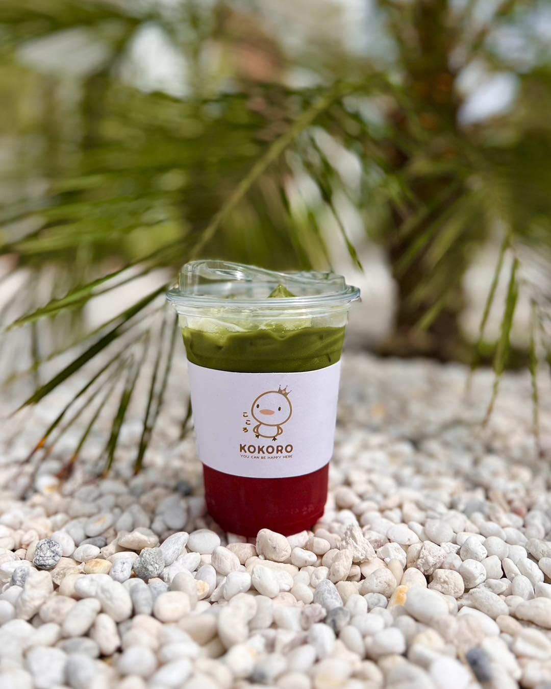 เรือนชายน้ำ Cafe&amp;Restaurant, ban.jingjo, See Sea Sun - แบบง่ายๆ, ขวัญข้าว ริเวอร์ไซด์, The sunflower cafe, KokoroCafe', FREJA Coffee &amp; Co, Rays River Cafe, Behind The Beans, พร้าวหอมคาเฟ่, Kinlamoon, House Cafe', บ้านสวนพาฝัน, La Bella Cafe, PakPap Cafe, ขมุน คาเฟ่ มหาชัย, Baanthaicafe, ดีกัน คาเฟ่, COCO CAFE'