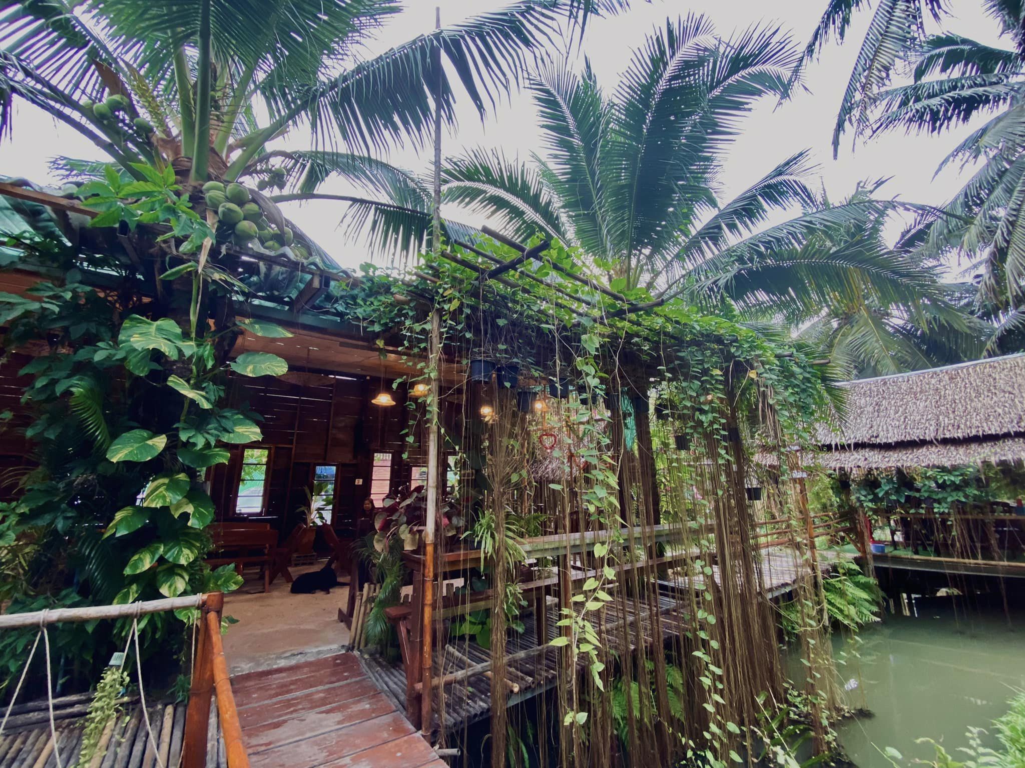 เรือนชายน้ำ Cafe&amp;Restaurant, ban.jingjo, See Sea Sun - แบบง่ายๆ, ขวัญข้าว ริเวอร์ไซด์, The sunflower cafe, KokoroCafe', FREJA Coffee &amp; Co, Rays River Cafe, Behind The Beans, พร้าวหอมคาเฟ่, Kinlamoon, House Cafe', บ้านสวนพาฝัน, La Bella Cafe, PakPap Cafe, ขมุน คาเฟ่ มหาชัย, Baanthaicafe, ดีกัน คาเฟ่, COCO CAFE'