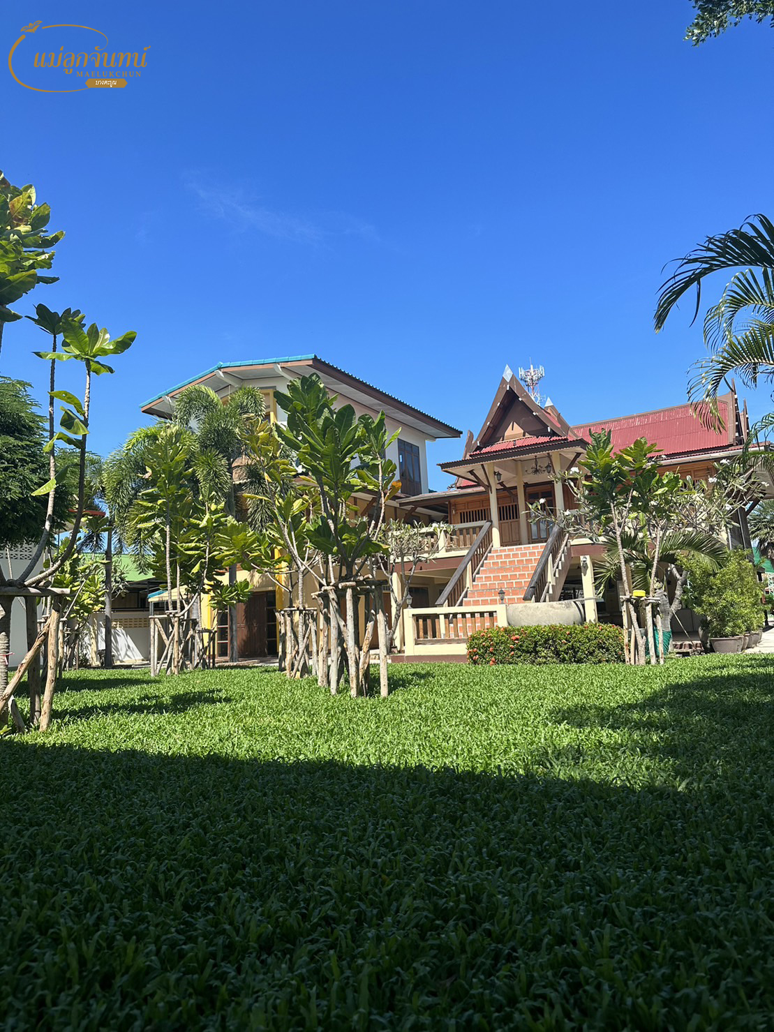 ครัวเจ๊นงค์ซีฟู๊ด, แม่ลูกจันทน์, สาขาบางตะบูน, โคตรหมู, ครัวริมเล ปูเป็น, Luckyseafood 2, ครัวไข่มุกปูเป็น, เจ๊เหมียวทะเลสด, เปลญวน เพชรบุรี, ครัวเพชรน้ำฟ้า, วิวทะเลซีฟู้ดชะอำ, ป้าหยัน, พวงเพชร, ครัวห้วยทราย, กิ่งกาญจน์, รีแล็กซ์ เพชรบุรี, เรือแลเล บางตะบูน, สวนอาหาร "ล้านอร่อย", บางตะบูนเบย์, ครัวปรียานนท์ หาดเจ้าสำราญ, สังเวียนซีฟู้ด Sungwean seafood