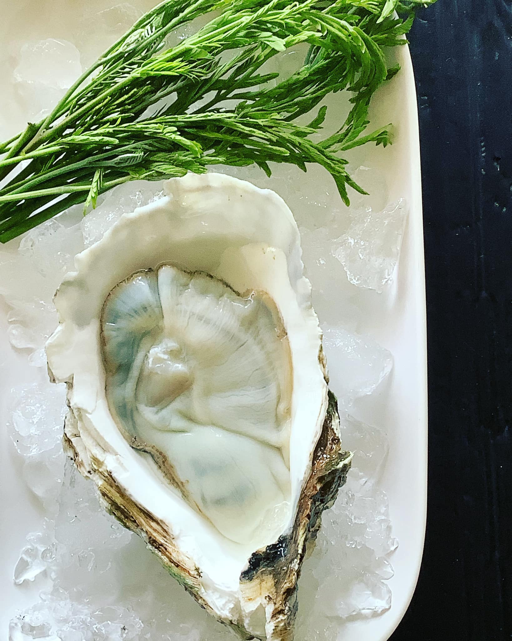 ครัวลุงมันซีฟู้ด, ตั้งฉ่ายซีฟู้ด, บ้านไร่น้ำอิง, พรทะเลซีฟู้ด, ศิริกัญญาซีฟู๊ด, ผึ้งทะเลเผา เบอร์ 9, ครัวป้ายืนซีฟู้ด, นู๋ยาซีฟู้ดชะอำ, ครัวเม็ดทราย, บ้านครัวทะเล, ครัวห้วยทราย, Platoo Restaurant, ครัวป้าเฉลียว, ร้านครัวพี่เปี๊ยก บางควาย