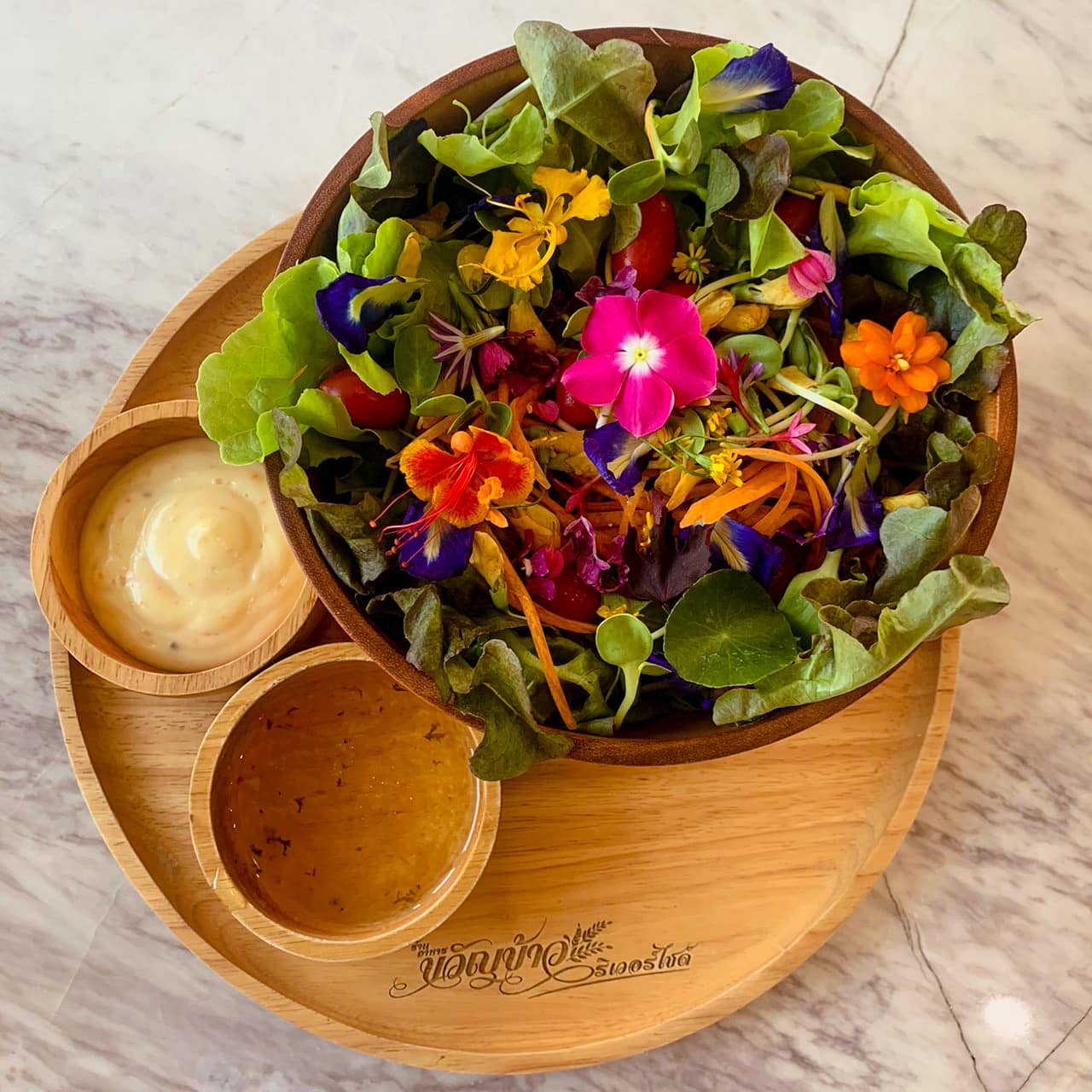 เรือนชายน้ำ Cafe&amp;Restaurant, ban.jingjo, See Sea Sun - แบบง่ายๆ, ขวัญข้าว ริเวอร์ไซด์, The sunflower cafe, KokoroCafe', FREJA Coffee &amp; Co, Rays River Cafe, Behind The Beans, พร้าวหอมคาเฟ่, Kinlamoon, House Cafe', บ้านสวนพาฝัน, La Bella Cafe, PakPap Cafe, ขมุน คาเฟ่ มหาชัย, Baanthaicafe, ดีกัน คาเฟ่, COCO CAFE'