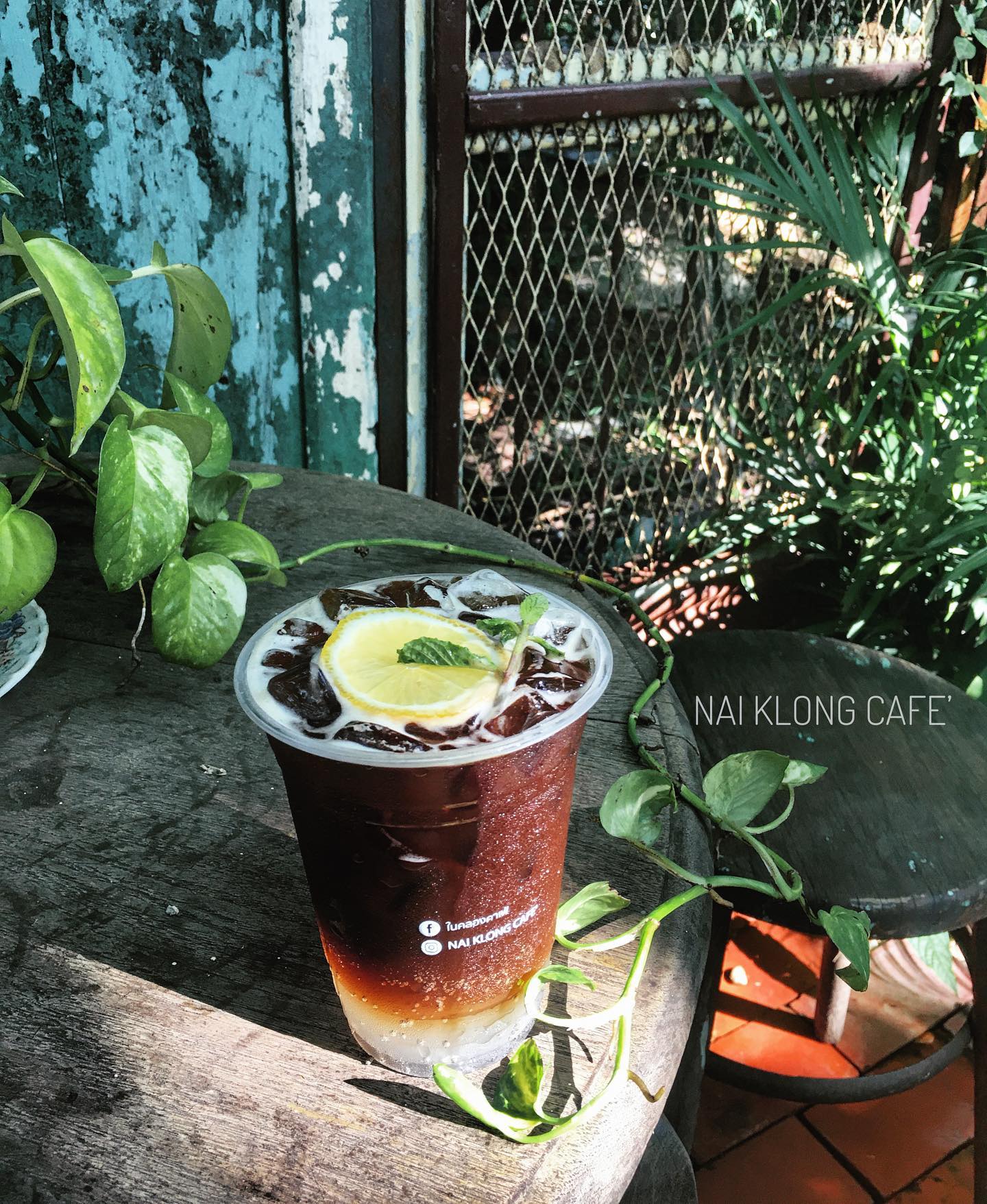 NAYA Cafe, Krasai.cafe, Sanoh at Ayutthaya, ชีวาคาเฟ่, FENG, Tewa Cafe Ayutthaya, Homeboy, PRANG VIEW, Peko Peko Cafe - ペ コ ペ コ, A Lovely Table, Busaba Cafe &amp; Meal, WIWA House Cafe', The Summer House, Phoyard, Cafe' de Zia, Café Kantary Ayutthaya, บ้านข้าวหนม, Basic Space Coffee, Cafe'Trifecta, ในคลองคาเฟ่, ไม้ขาวคาเฟ่ ayutthaya, ชงนวล'Cafe