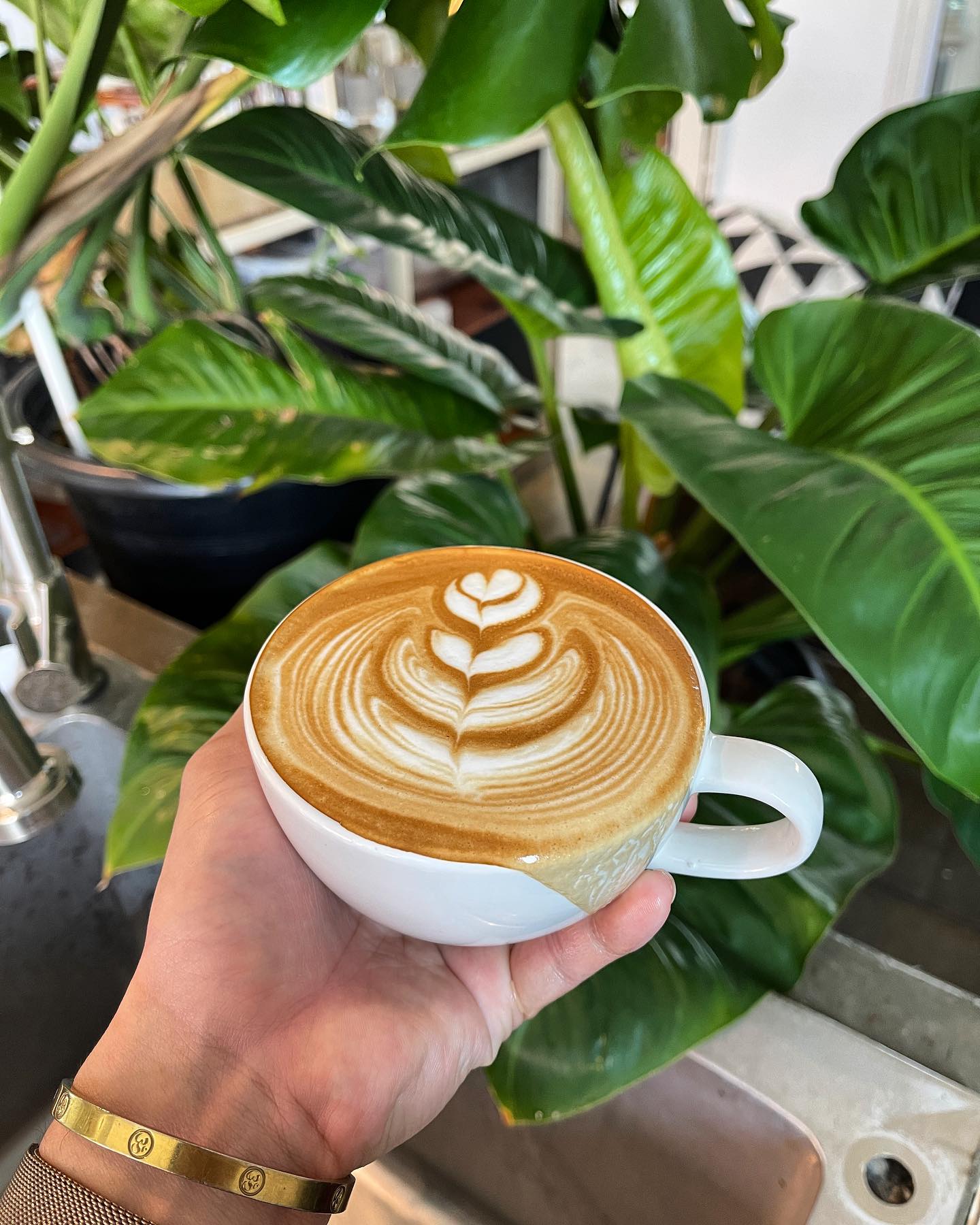 Mixirista Lampang, TIN’N, Wooden House Cafe', Karpenter cafe&amp;bake, Secret Garden Cafe, บ้านนอกคาเฟ่, Kin Cafe' Lampang, ณ หิรัญ คาเฟ่, Himwang Café, ไอหย๋า ปังนม, Dezato Cafe, อาร์มแชร์ คาเฟ่, โก๋กาแฟ ธรรมดาเป็นพิเศษ, Nalalin Home Cafe-Lampang, NOP Cafe&amp;Bistro, ก๋างต้ง, Moungngwezin