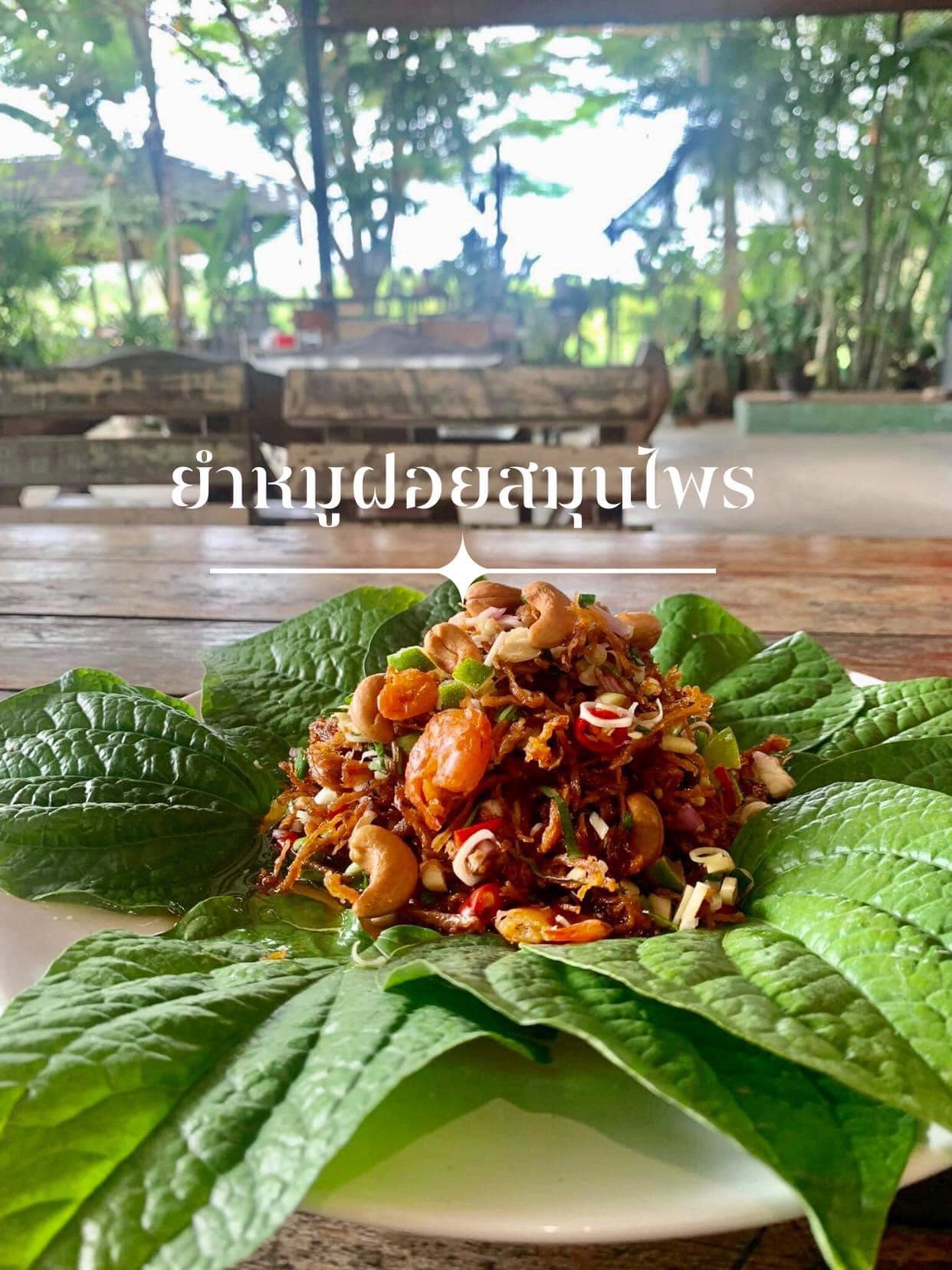 ร้านอ้นส้มตำปูม้า, ไผ่ขวาง, Zaab Station, เอมโอช by The Story, ครัวกางนา, คุ้มขวัญเจ้าเอย, ร้านบ้านเด, กุ่ยหมง, สวนอาหารเบญจรงค์ สุพรรณบุรี, ขัวะ, ลายน้ำ, มุมสบายครัวริมคลอง, ข้าวต้มโกเฑียร, นพรัตน์ ภัตตาคาร, กุ้งเป็น (เจ๊เน้ย), ขนาบน้ำสุพรรณบุรี and mellow, เรือนแพ (ครัวสุพรรณ) &amp; รีสอร์ท, ริมคลองเฮ้าส์, สุรชัยปลาเผา บึงไผ่แขก, Taiheiyo sushi suphanburi