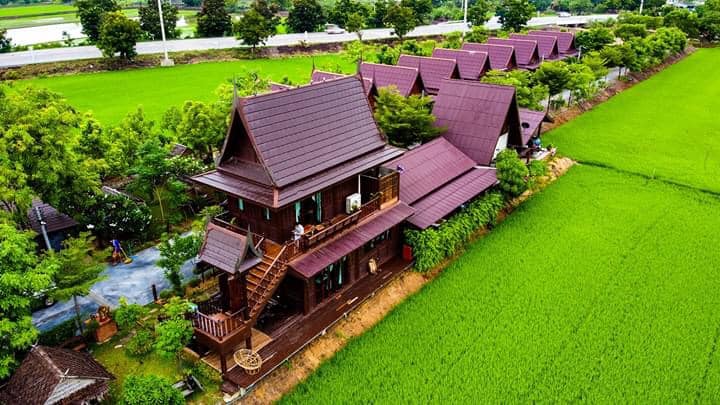 ร้านอ้นส้มตำปูม้า, ไผ่ขวาง, Zaab Station, เอมโอช by The Story, ครัวกางนา, คุ้มขวัญเจ้าเอย, ร้านบ้านเด, กุ่ยหมง, สวนอาหารเบญจรงค์ สุพรรณบุรี, ขัวะ, ลายน้ำ, มุมสบายครัวริมคลอง, ข้าวต้มโกเฑียร, นพรัตน์ ภัตตาคาร, กุ้งเป็น (เจ๊เน้ย), ขนาบน้ำสุพรรณบุรี and mellow, เรือนแพ (ครัวสุพรรณ) &amp; รีสอร์ท, ริมคลองเฮ้าส์, สุรชัยปลาเผา บึงไผ่แขก, Taiheiyo sushi suphanburi