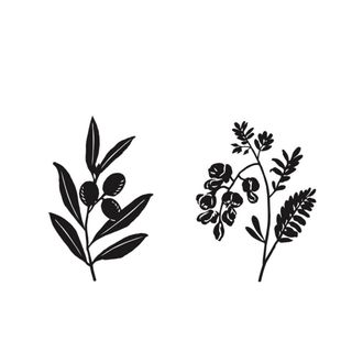 The Sine Cafe’, Whispering cafe, รักษ์น้ำคาเฟ่, Orenchi Cafe, KAWA Coffee and Co., Orenchi Specialty Coffee, Attitude Coffee, Memory House Cafe, In Garden Hut Cafe, ChataThammachart, She's The Legend Cafe, RIVA floating cafe, Good Mood House, นึก คาเฟ่ - วัดไร่ขิง, Ton Khao Terrace, CHADA Tea Boutique, Kark Crof.f