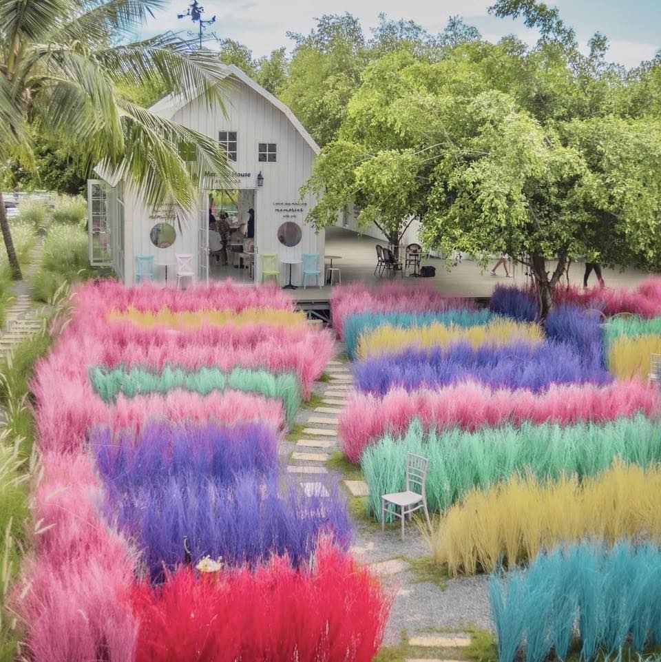 The Sine Cafe’, Whispering cafe, รักษ์น้ำคาเฟ่, Orenchi Cafe, KAWA Coffee and Co., Orenchi Specialty Coffee, Attitude Coffee, Memory House Cafe, In Garden Hut Cafe, ChataThammachart, She's The Legend Cafe, RIVA floating cafe, Good Mood House, นึก คาเฟ่ - วัดไร่ขิง, Ton Khao Terrace, CHADA Tea Boutique, Kark Crof.f