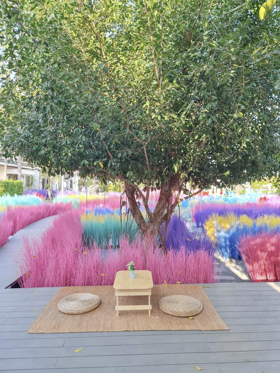 The Sine Cafe’, Whispering cafe, รักษ์น้ำคาเฟ่, Orenchi Cafe, KAWA Coffee and Co., Orenchi Specialty Coffee, Attitude Coffee, Memory House Cafe, In Garden Hut Cafe, ChataThammachart, She's The Legend Cafe, RIVA floating cafe, Good Mood House, นึก คาเฟ่ - วัดไร่ขิง, Ton Khao Terrace, CHADA Tea Boutique, Kark Crof.f