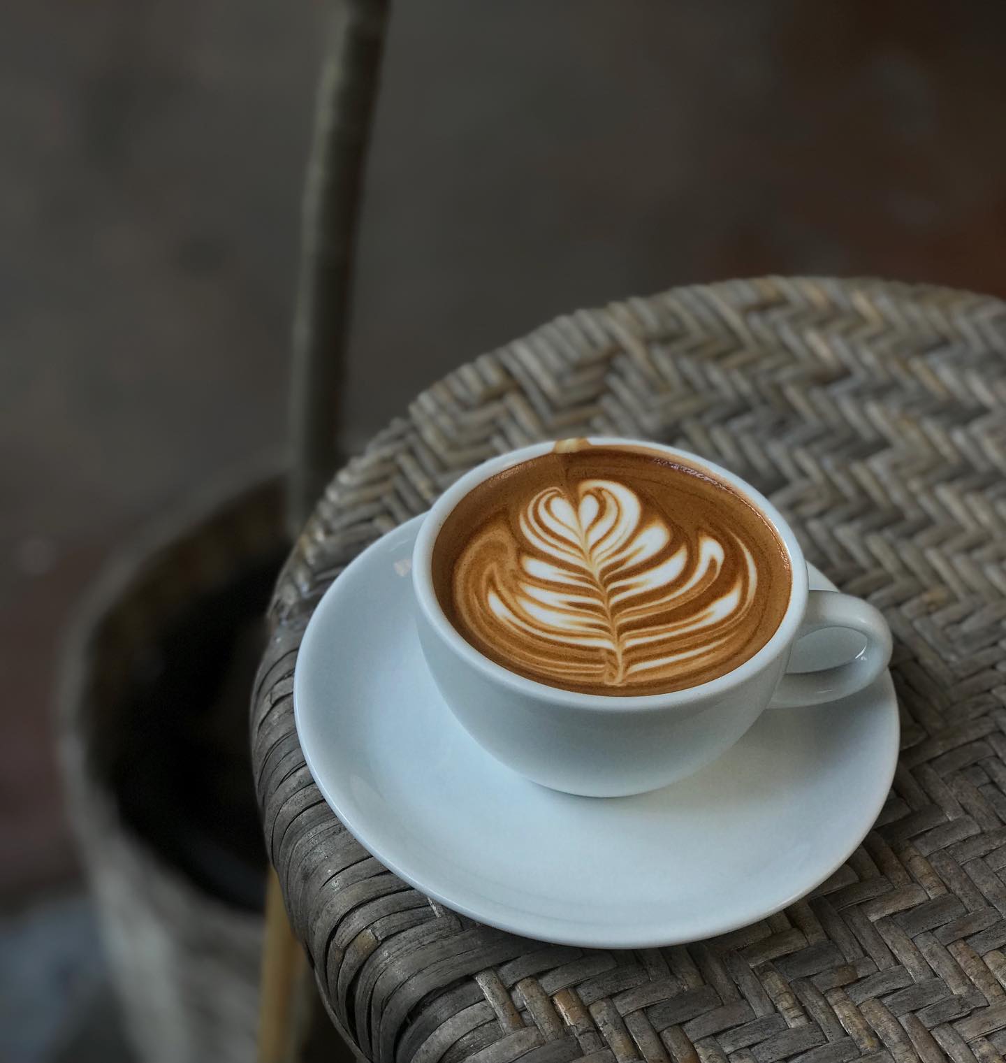 MOONSTo̲̲NE, Bread Crumbs Cafe, Happy Cafe and Minifarm, เสื่อผืน หมอนใบ, WA-Phuket, Honest Coffee &amp; Service, Grove Phuket, RYN, DouBrew Coffee &amp; Craft, The Tent, หนัง(สือ)2521