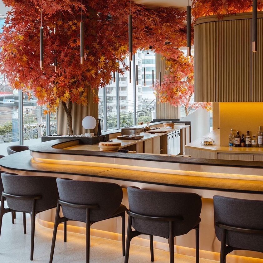 Jikasei B, NOWAKI BKK ノワキ, Sushi Yorokobu Bkk 鮨㐂, Ryuzu Omakase, Tamaya Omakase, Momiji Omakase, Mido Omakase