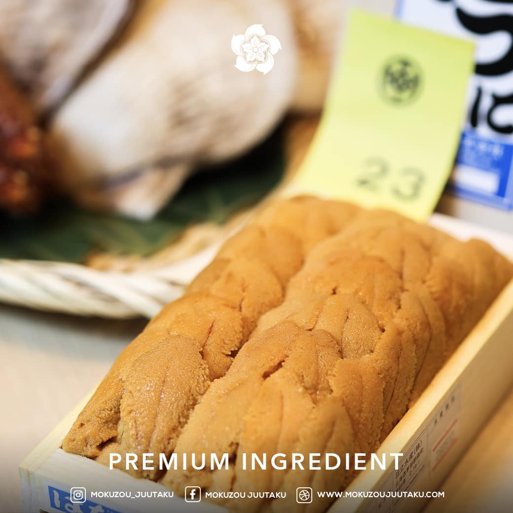 Sushi Koge, Tamaya Omakase, Restaurant Resonance, Momiji Omakase, JAV OMAKASE, KIMI SUSHI BAR, Kensho omakase, Nikuyama Bangkok, Mokuzou Juutaku, Mido Omakase, Cave IO, Mokusai House Bangkok, Sasada Omakase Restaurant