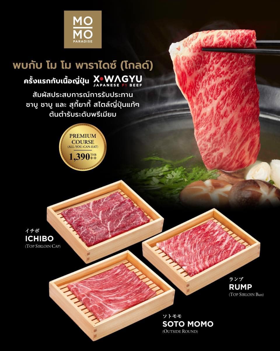 Wisdom International Buffet, BNPCuisine, Yakiniku Tan, Mo-Mo-Paradise, สาขา The Emporium, GuruGyuu, MATSU SUSHI, สาขาขอนแก่น